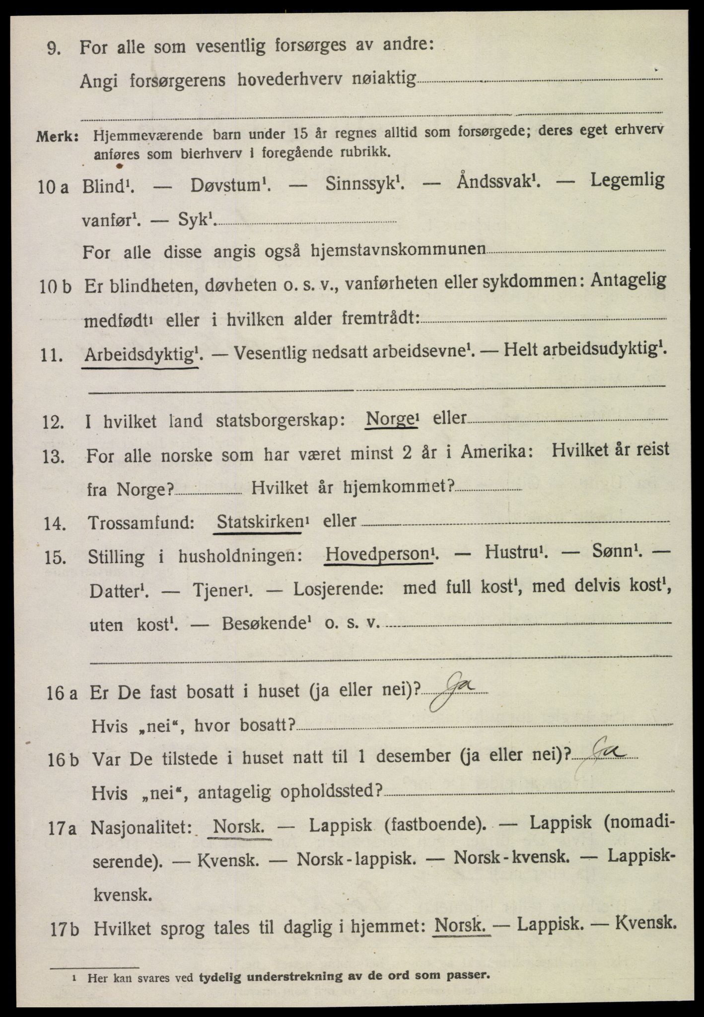 SAT, 1920 census for Selbu, 1920, p. 10209