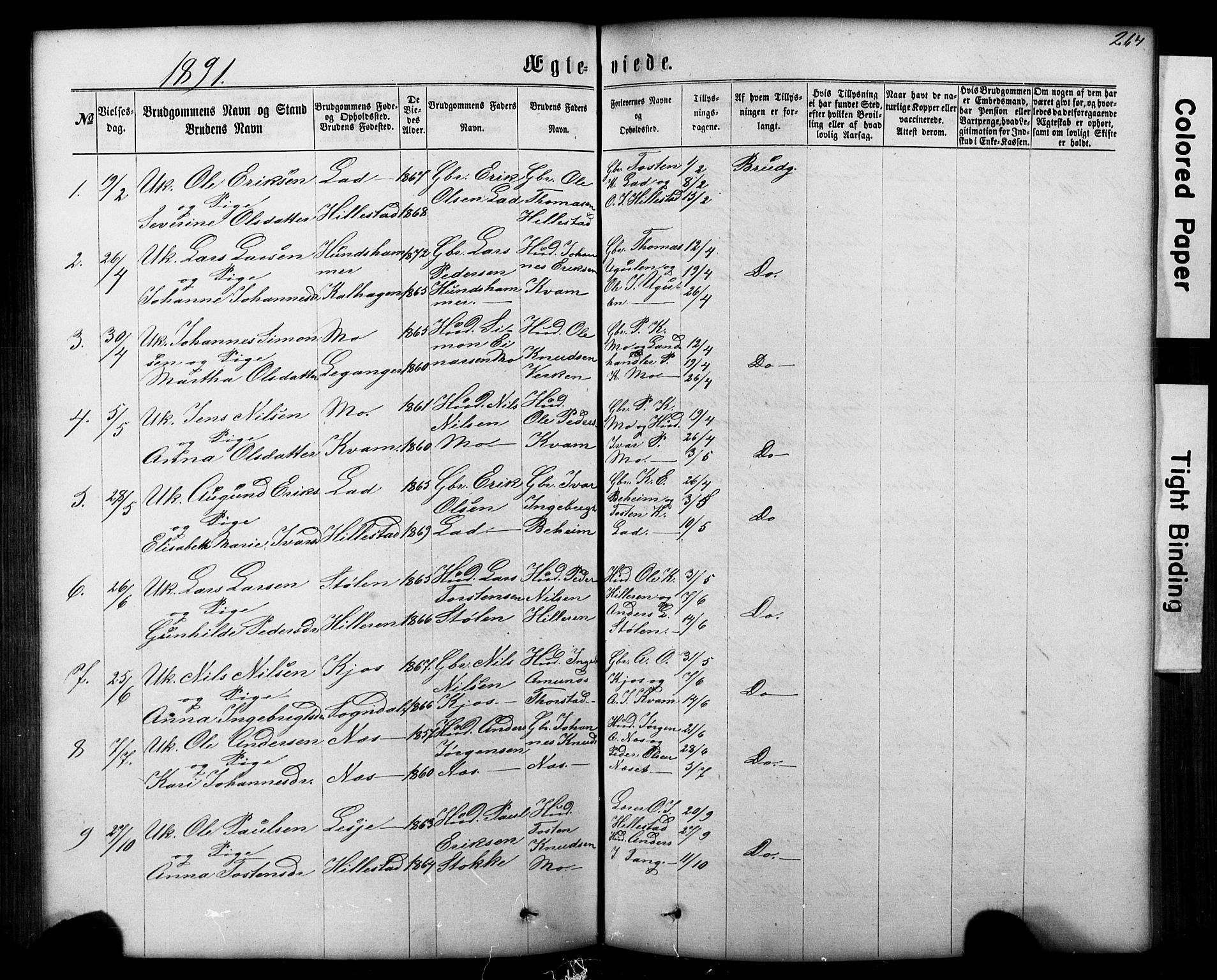 Hafslo sokneprestembete, SAB/A-80301/H/Hab/Haba/L0001: Parish register (copy) no. A 1, 1866-1908, p. 264