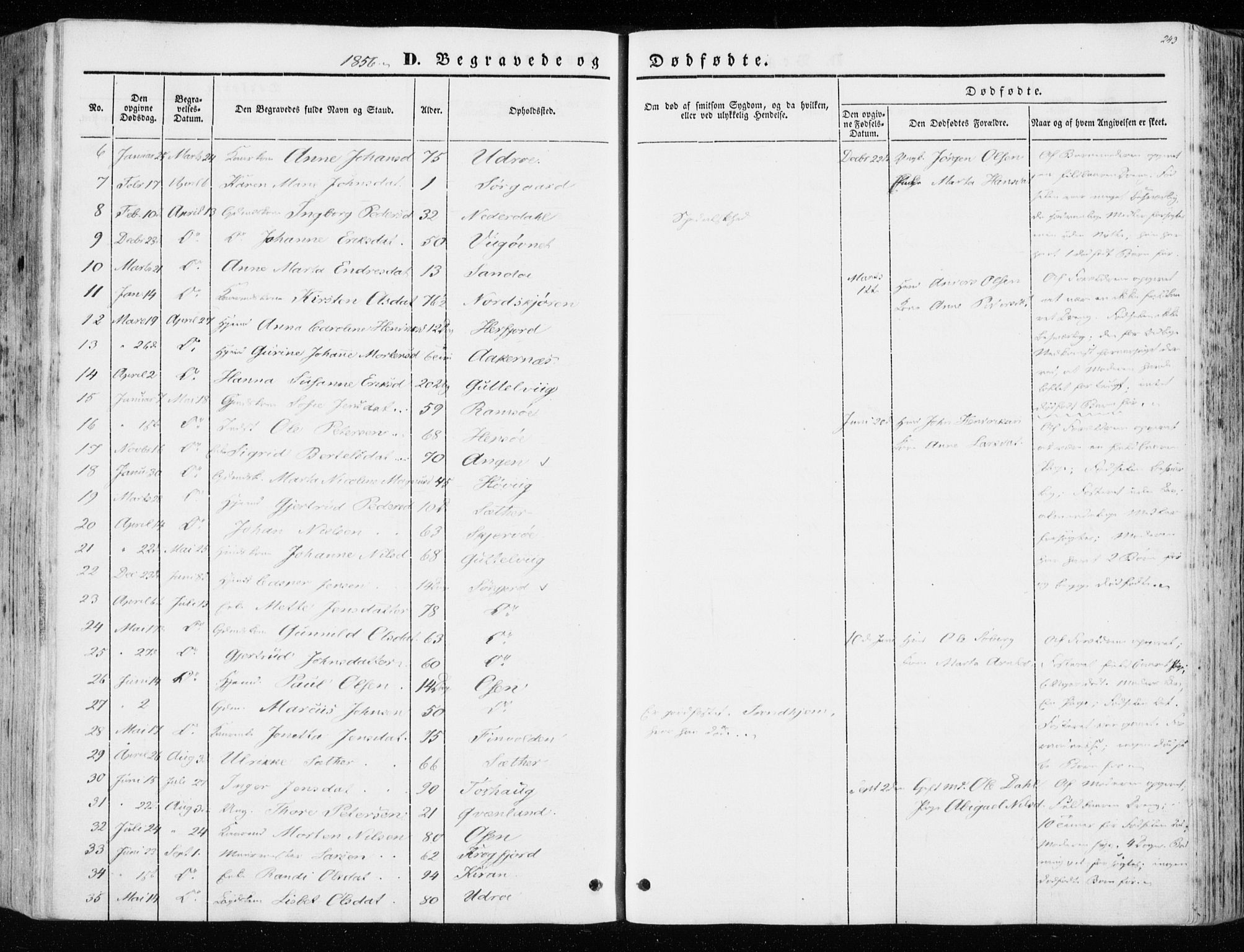 Ministerialprotokoller, klokkerbøker og fødselsregistre - Sør-Trøndelag, SAT/A-1456/657/L0704: Parish register (official) no. 657A05, 1846-1857, p. 243