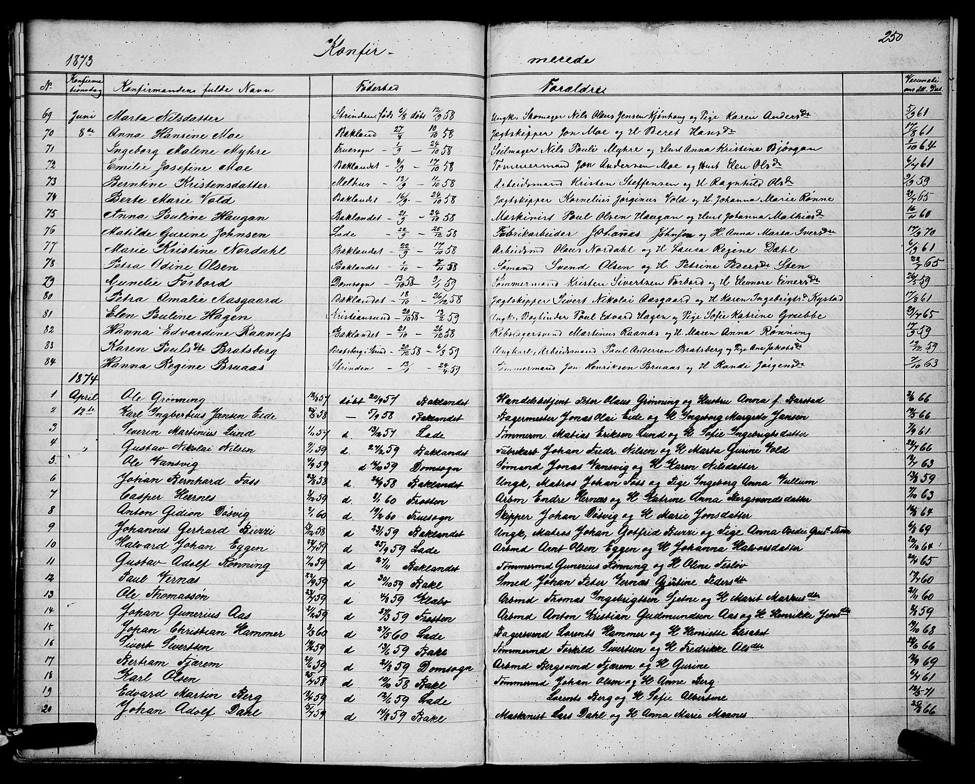 Ministerialprotokoller, klokkerbøker og fødselsregistre - Sør-Trøndelag, SAT/A-1456/604/L0220: Parish register (copy) no. 604C03, 1870-1885, p. 250