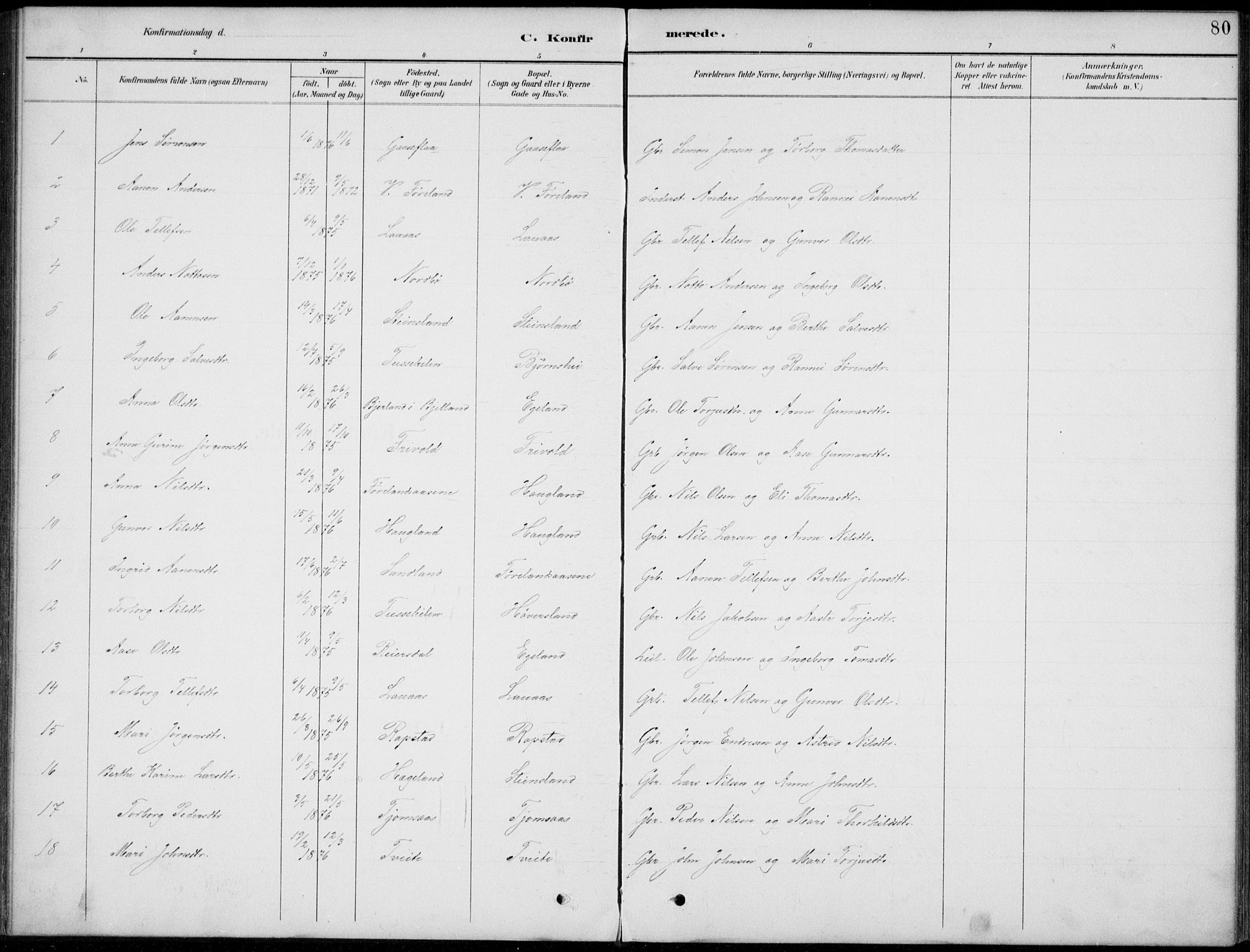 Vennesla sokneprestkontor, SAK/1111-0045/Fb/Fba/L0003: Parish register (copy) no. B 3, 1890-1919, p. 80