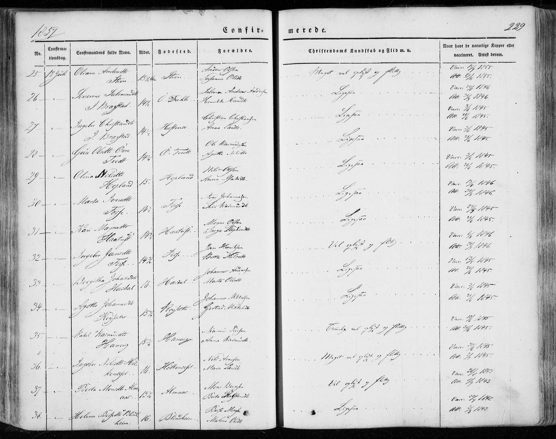 Hamre sokneprestembete, AV/SAB-A-75501/H/Ha/Haa/Haaa/L0013: Parish register (official) no. A 13, 1846-1857, p. 229