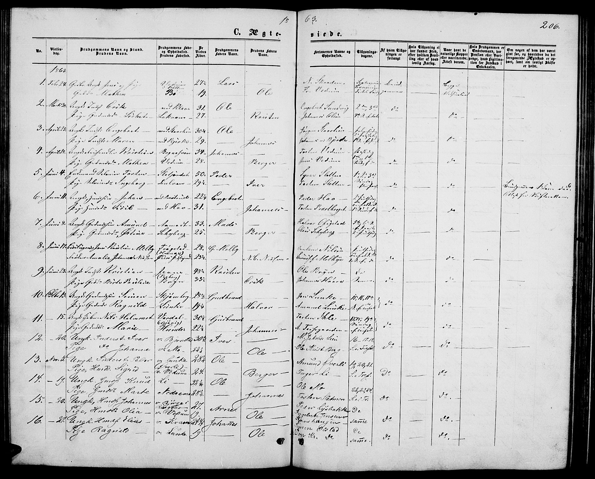 Øyer prestekontor, SAH/PREST-084/H/Ha/Hab/L0001: Parish register (copy) no. 1, 1863-1877, p. 206