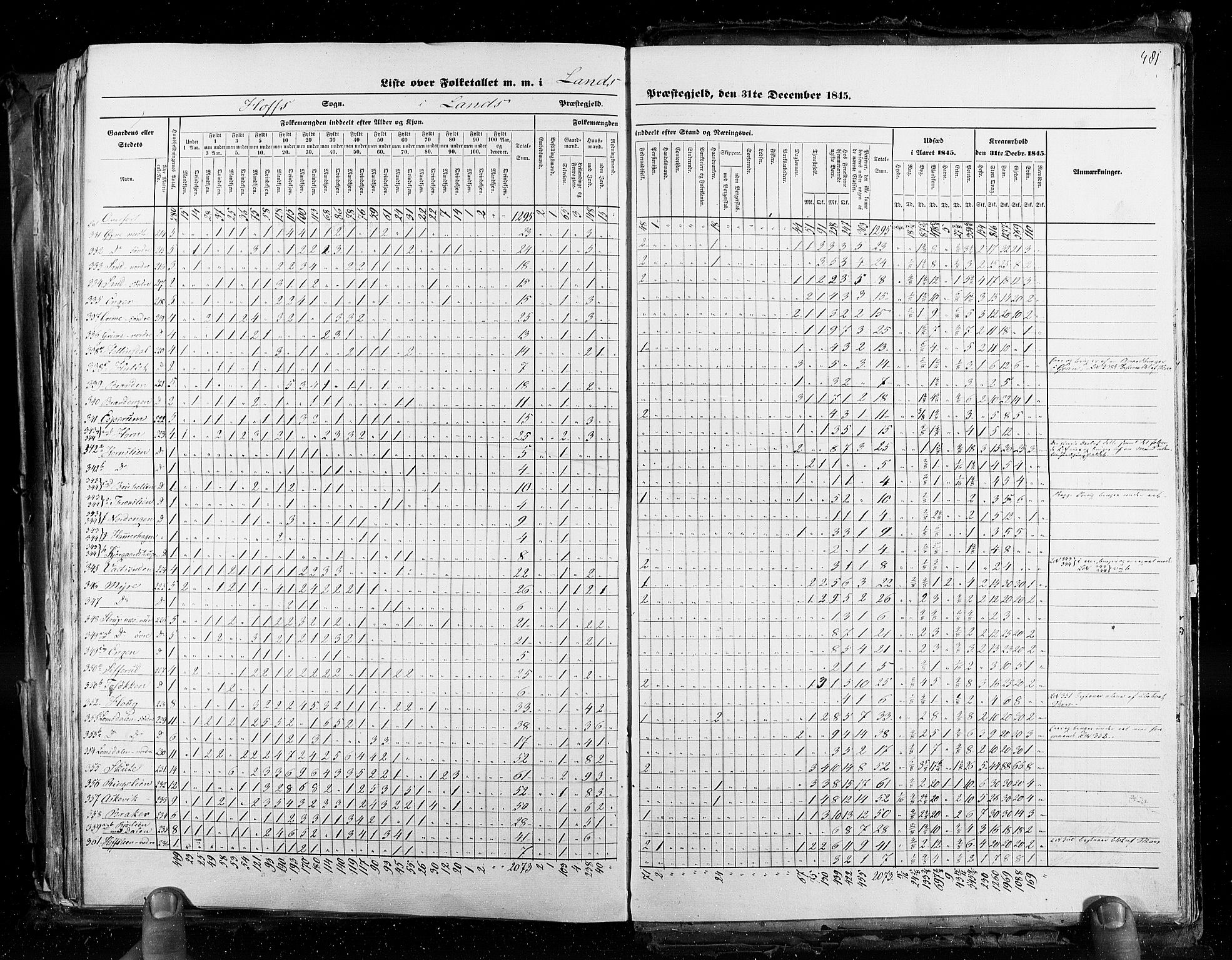 RA, Census 1845, vol. 3: Hedemarken amt og Kristians amt, 1845, p. 481