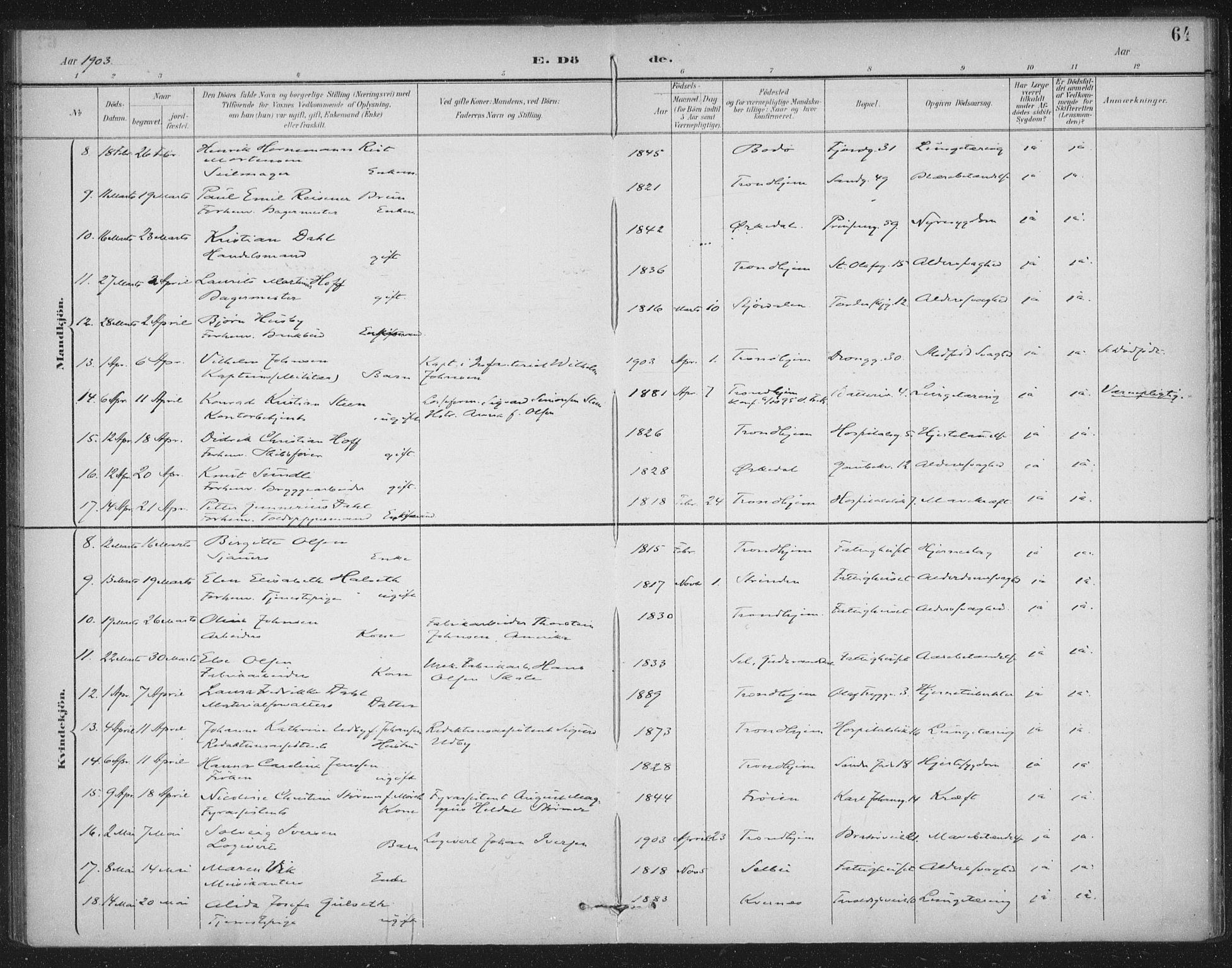 Ministerialprotokoller, klokkerbøker og fødselsregistre - Sør-Trøndelag, AV/SAT-A-1456/602/L0123: Parish register (official) no. 602A21, 1895-1910, p. 64