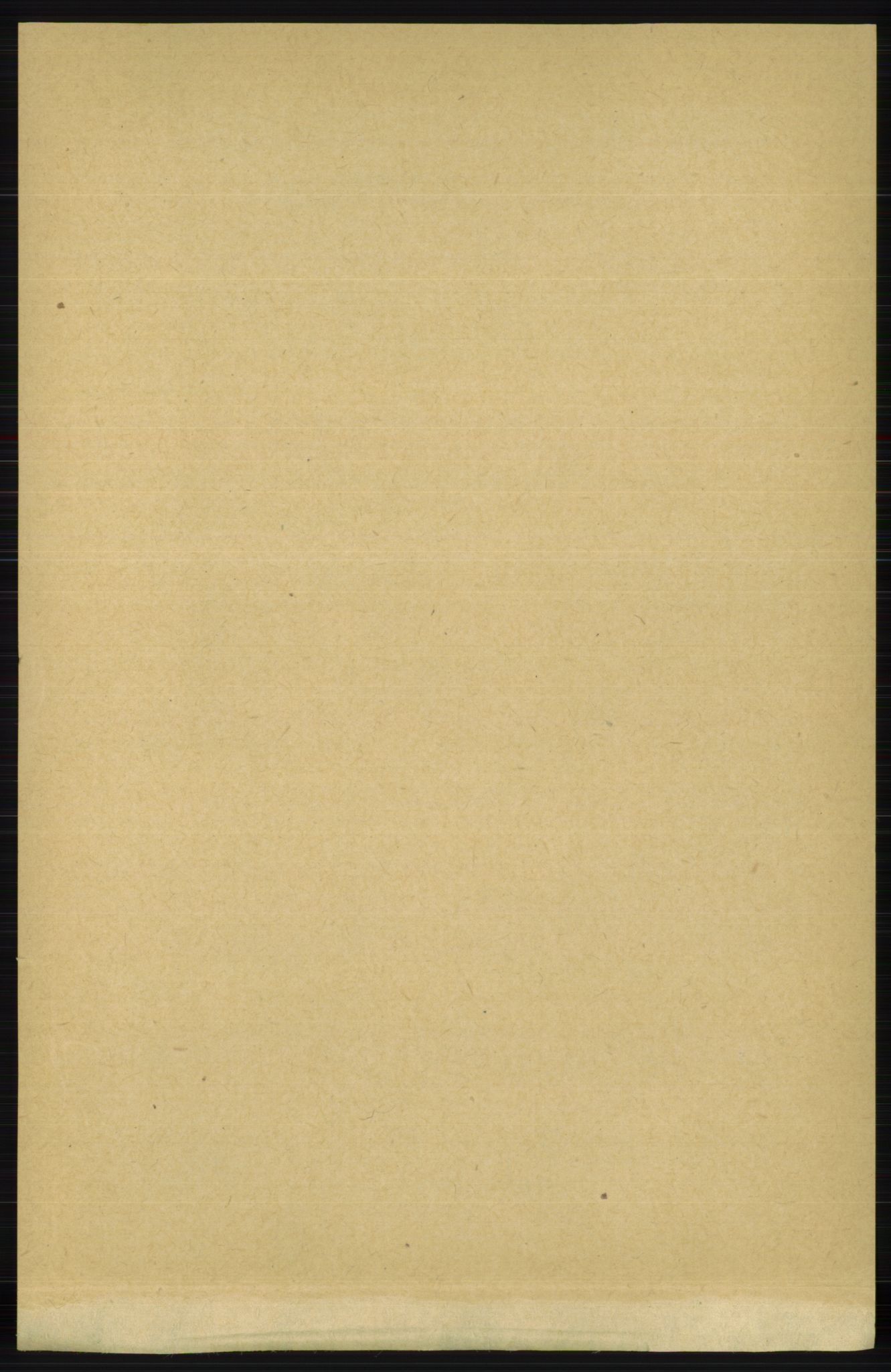 RA, 1891 census for 1147 Avaldsnes, 1891, p. 3019