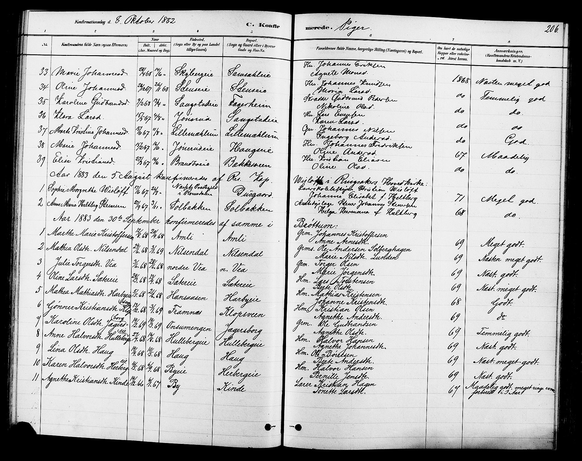 Ringsaker prestekontor, SAH/PREST-014/L/La/L0009: Parish register (copy) no. 9, 1879-1890, p. 206