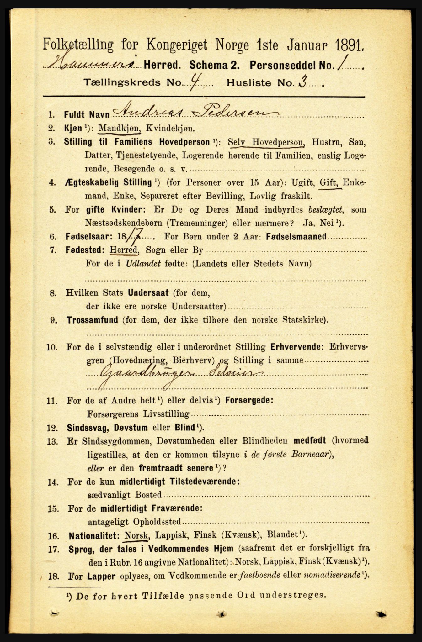 RA, 1891 census for 1849 Hamarøy, 1891, p. 1956