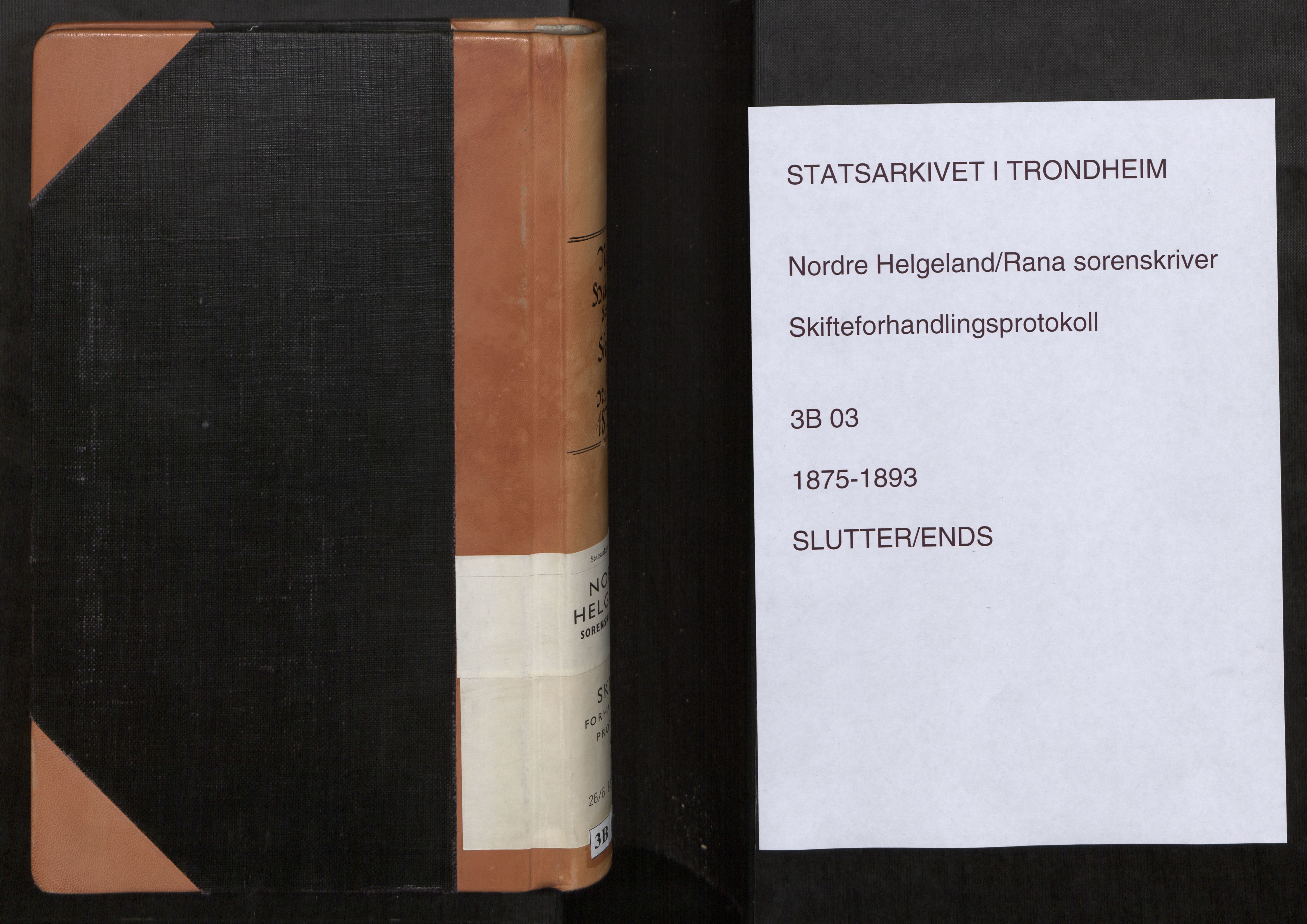 Rana sorenskriveri , AV/SAT-A-1108/1/3/3B/L0003: Skiftebehandlingsprotokoll, 1875-1893