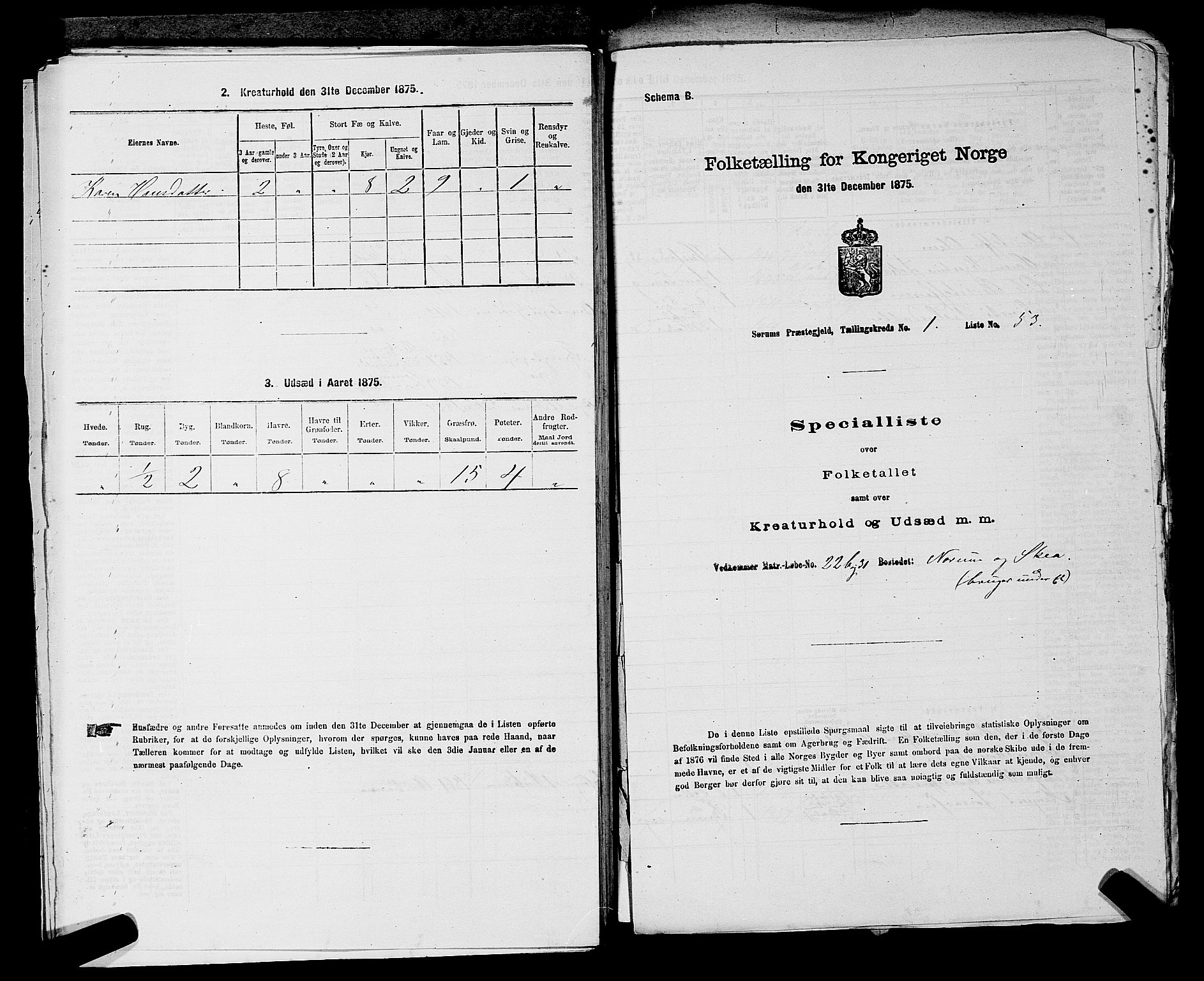 RA, 1875 census for 0226P Sørum, 1875, p. 138