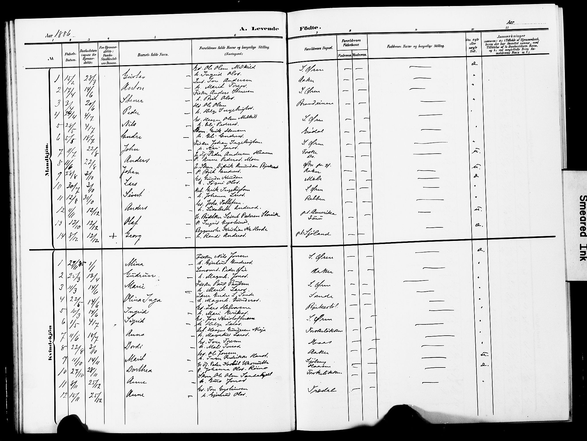 Ministerialprotokoller, klokkerbøker og fødselsregistre - Møre og Romsdal, SAT/A-1454/590/L1017: Parish register (copy) no. 590C02, 1869-1931