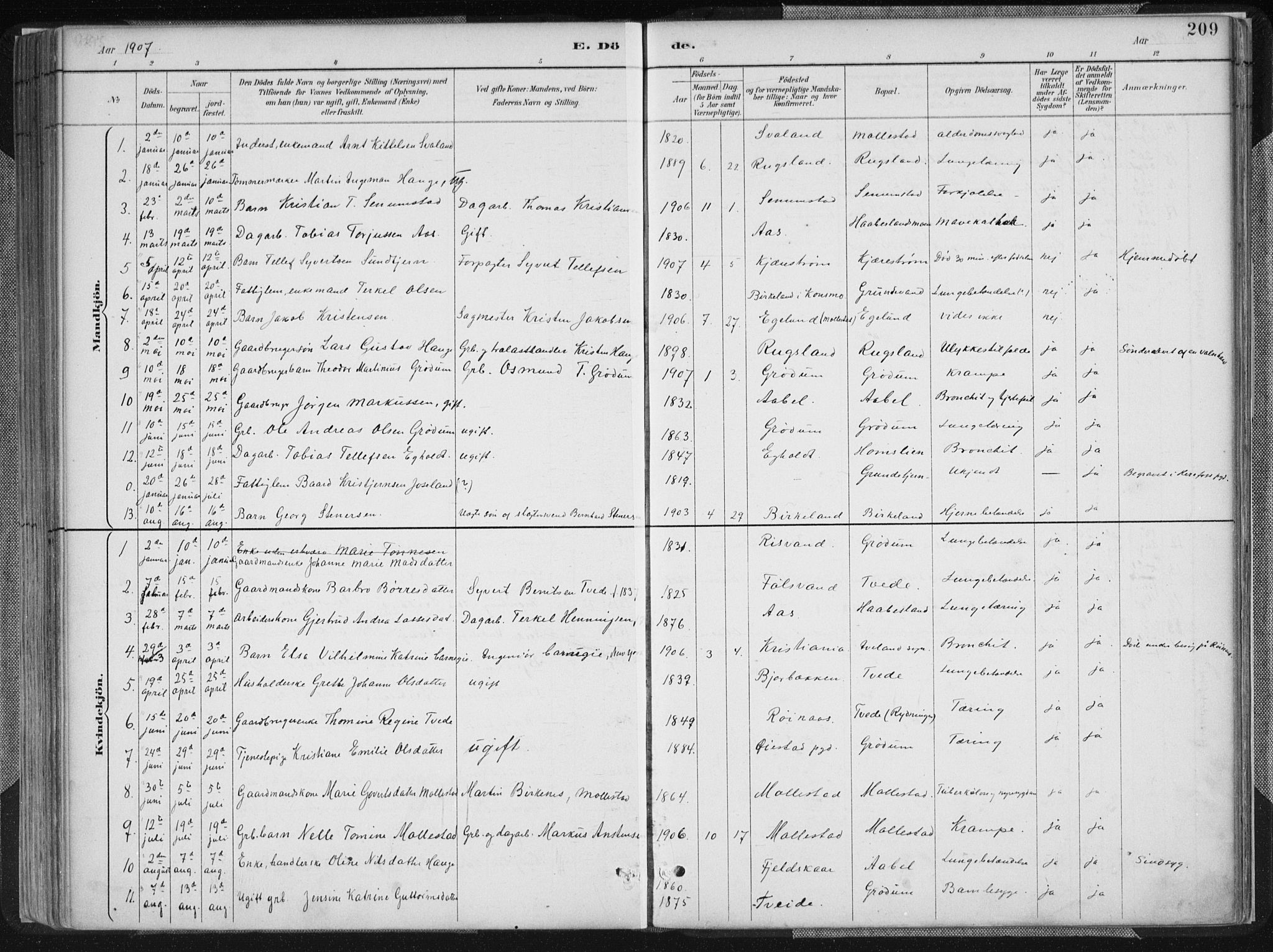 Birkenes sokneprestkontor, SAK/1111-0004/F/Fa/L0005: Parish register (official) no. A 5, 1887-1907, p. 209