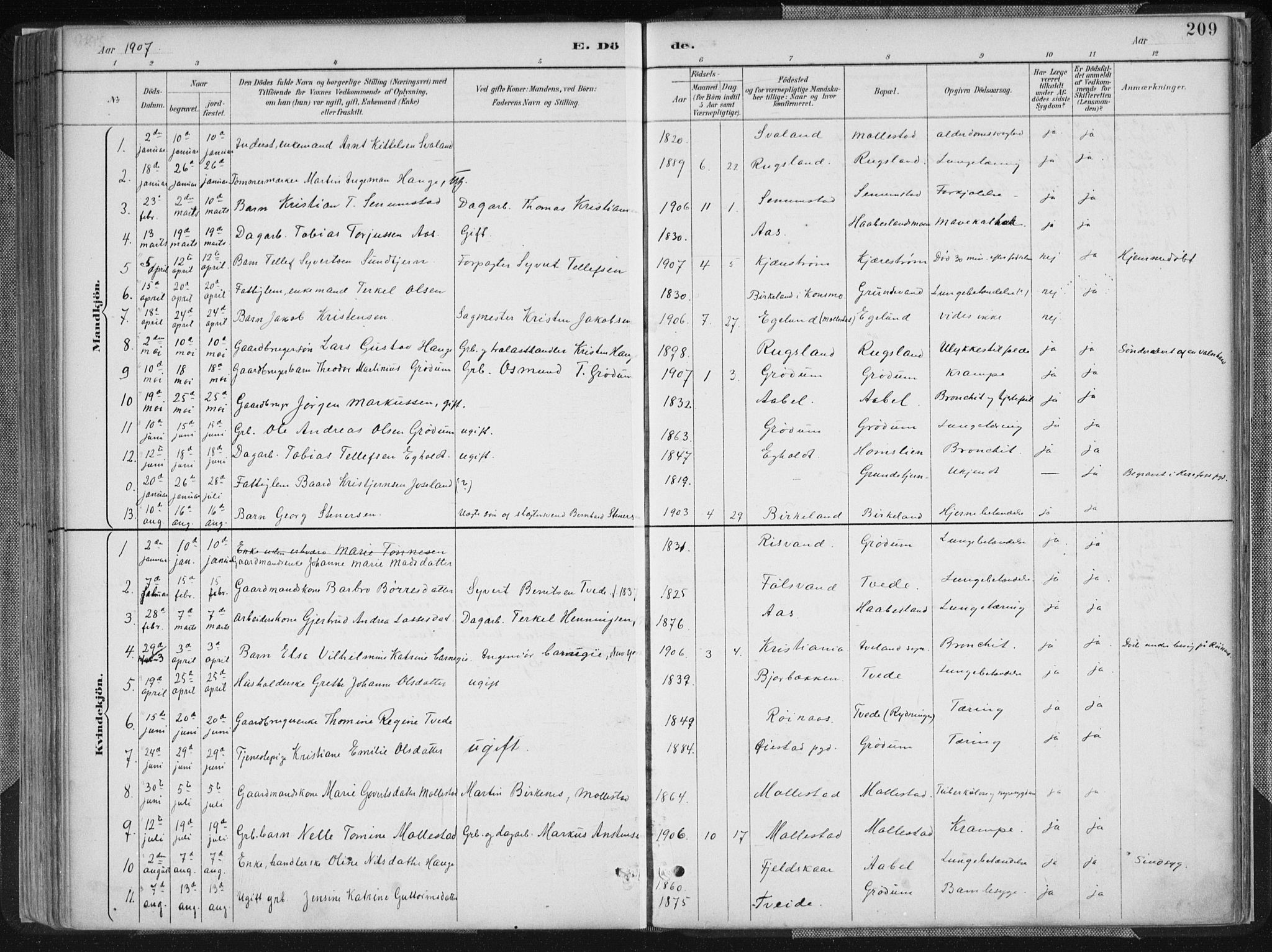 Birkenes sokneprestkontor, AV/SAK-1111-0004/F/Fa/L0005: Parish register (official) no. A 5, 1887-1907, p. 209