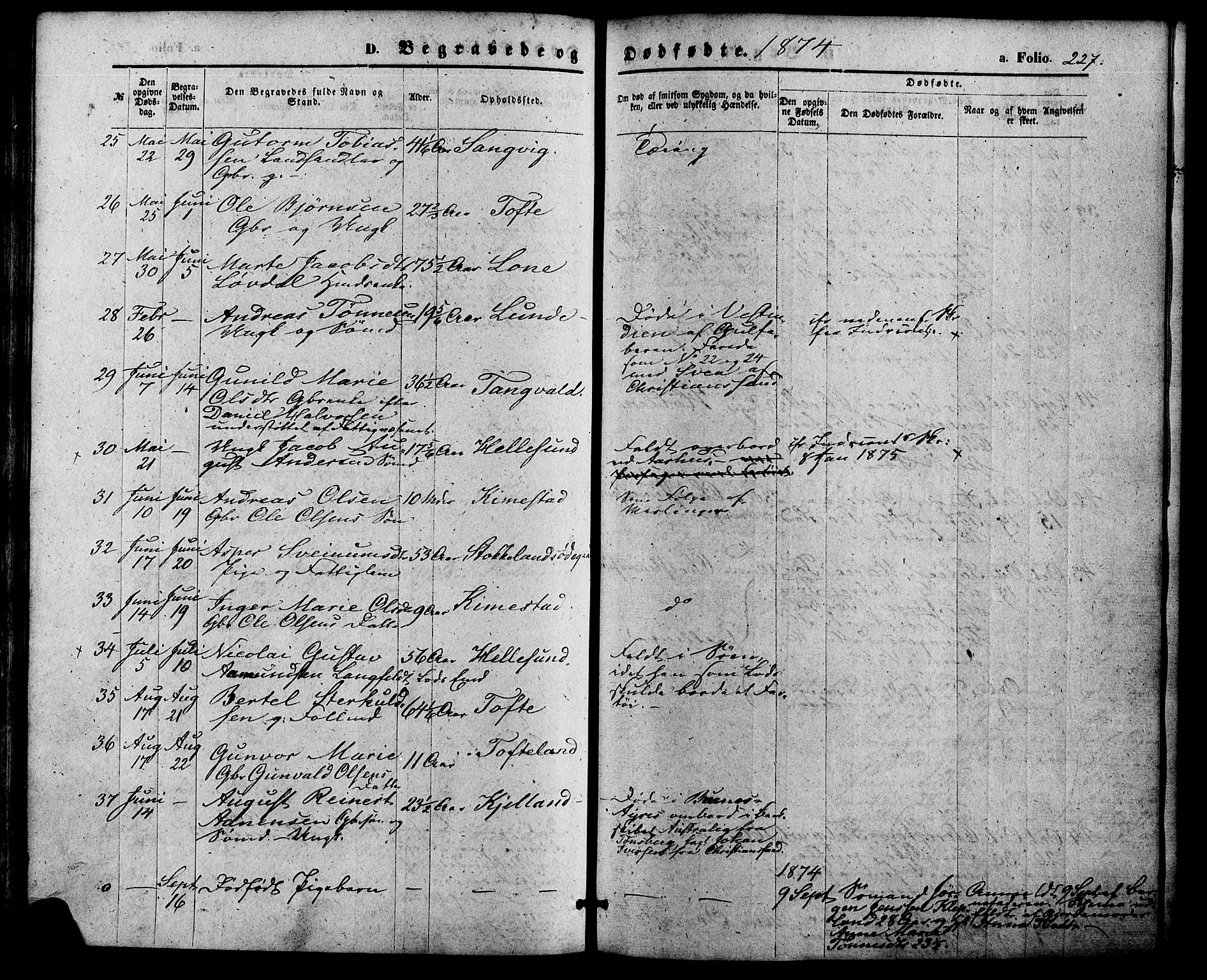 Søgne sokneprestkontor, AV/SAK-1111-0037/F/Fa/Fab/L0011: Parish register (official) no. A 11, 1869-1879, p. 227