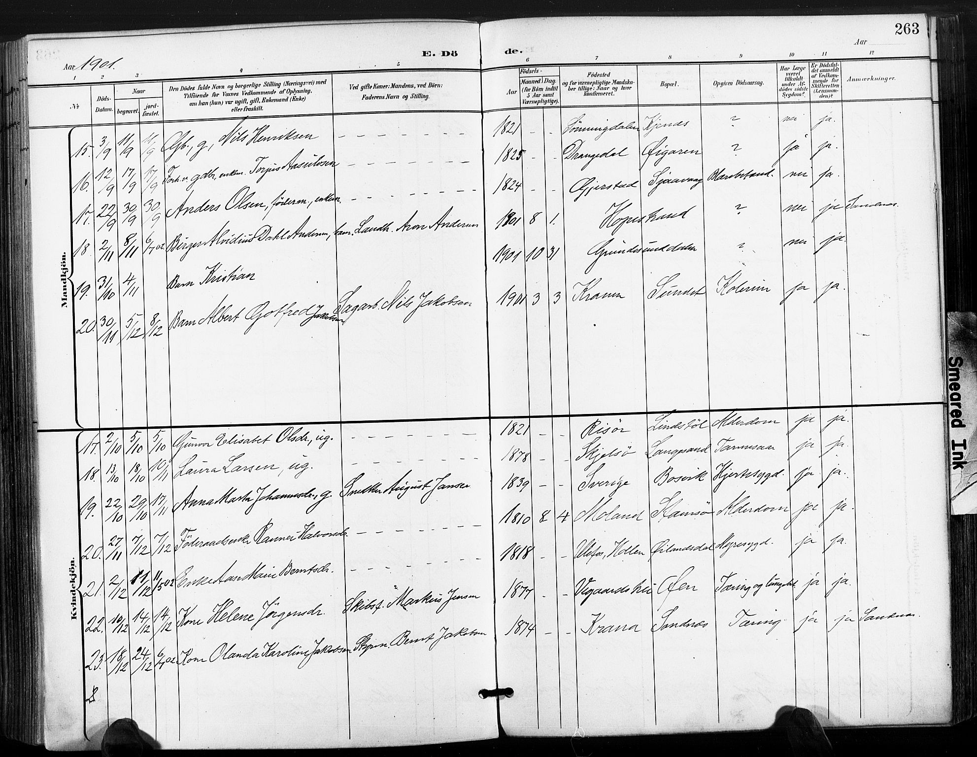 Søndeled sokneprestkontor, SAK/1111-0038/F/Fa/L0006: Parish register (official) no. A 6, 1900-1922, p. 263