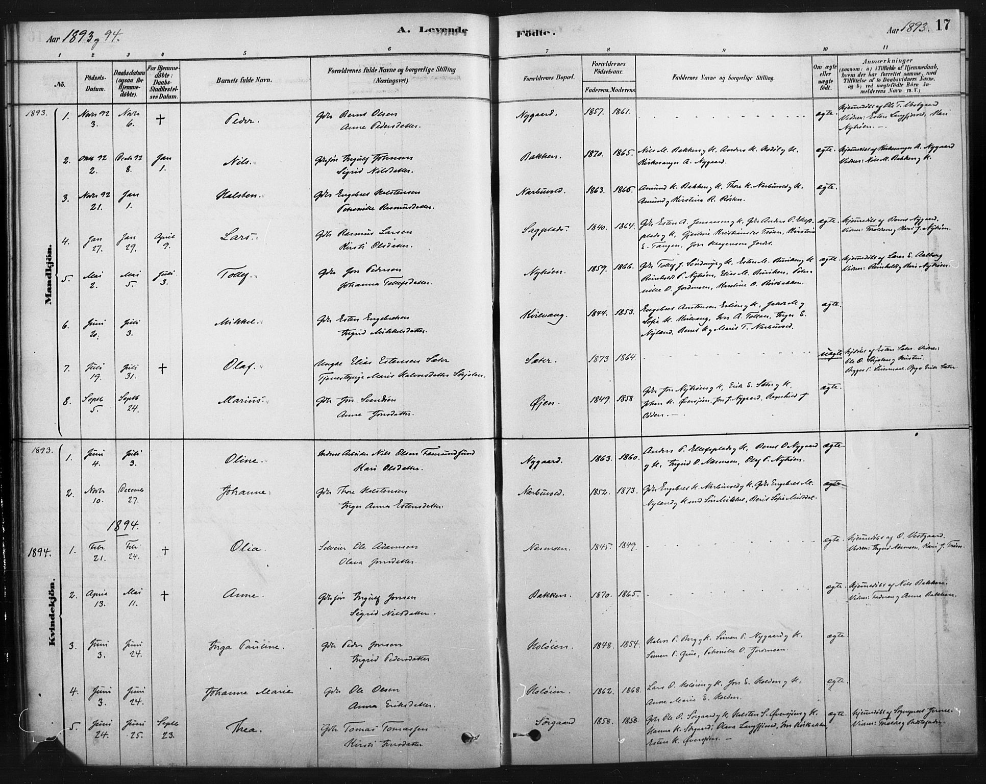 Tolga prestekontor, AV/SAH-PREST-062/K/L0007: Parish register (official) no. 7, 1877-1900, p. 17