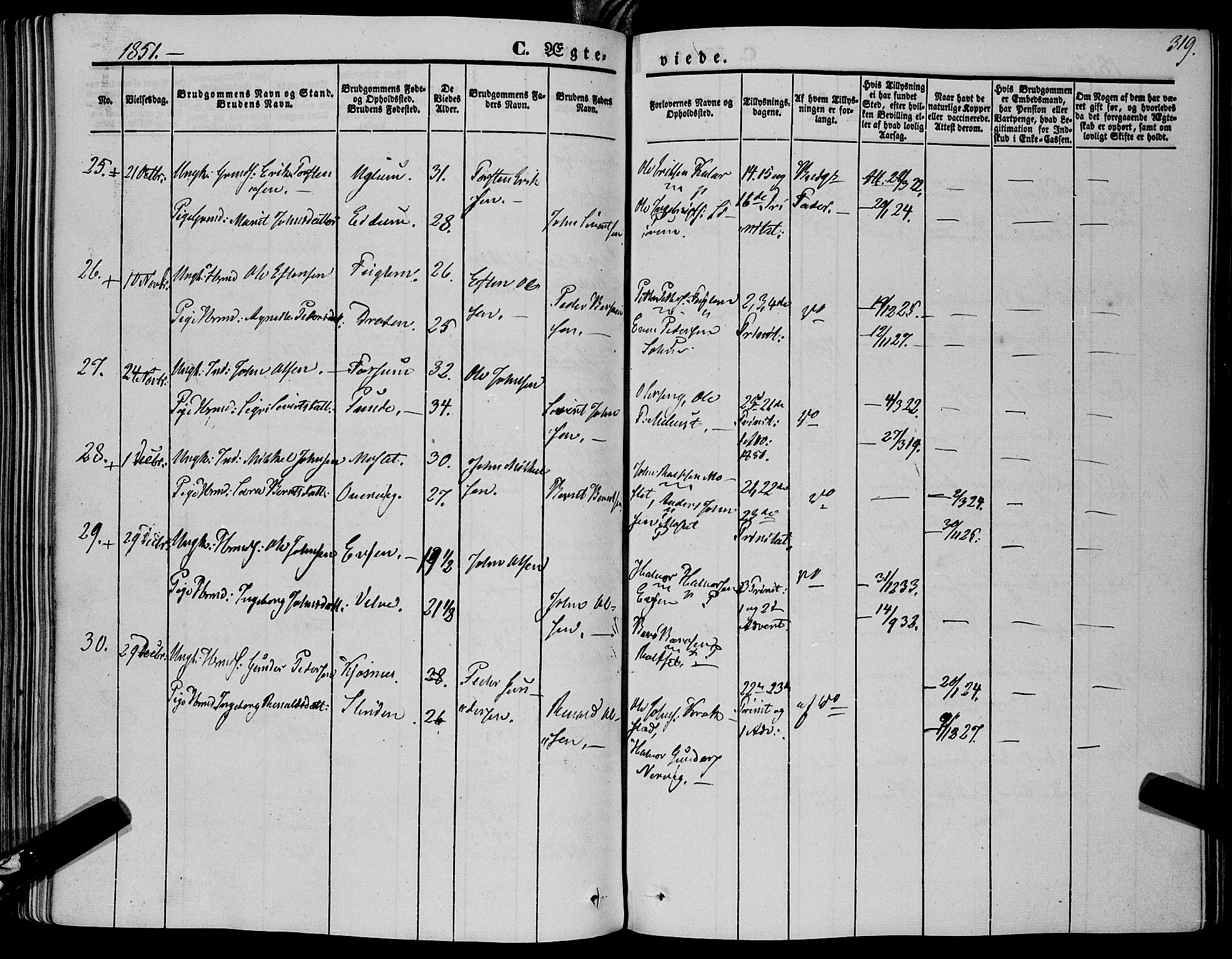 Ministerialprotokoller, klokkerbøker og fødselsregistre - Sør-Trøndelag, SAT/A-1456/695/L1145: Parish register (official) no. 695A06 /1, 1843-1859, p. 319