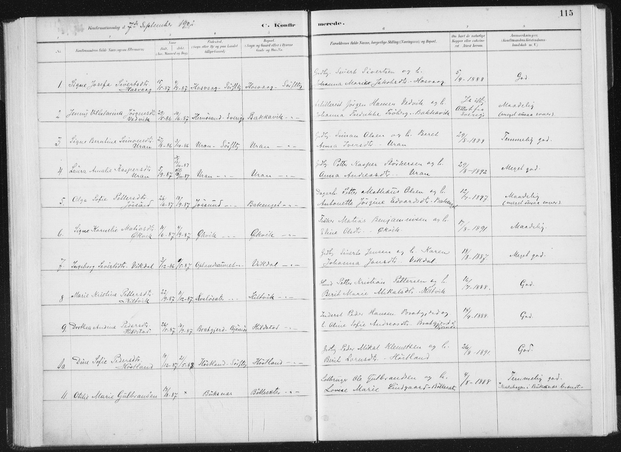 Ministerialprotokoller, klokkerbøker og fødselsregistre - Nord-Trøndelag, AV/SAT-A-1458/771/L0597: Parish register (official) no. 771A04, 1885-1910, p. 115