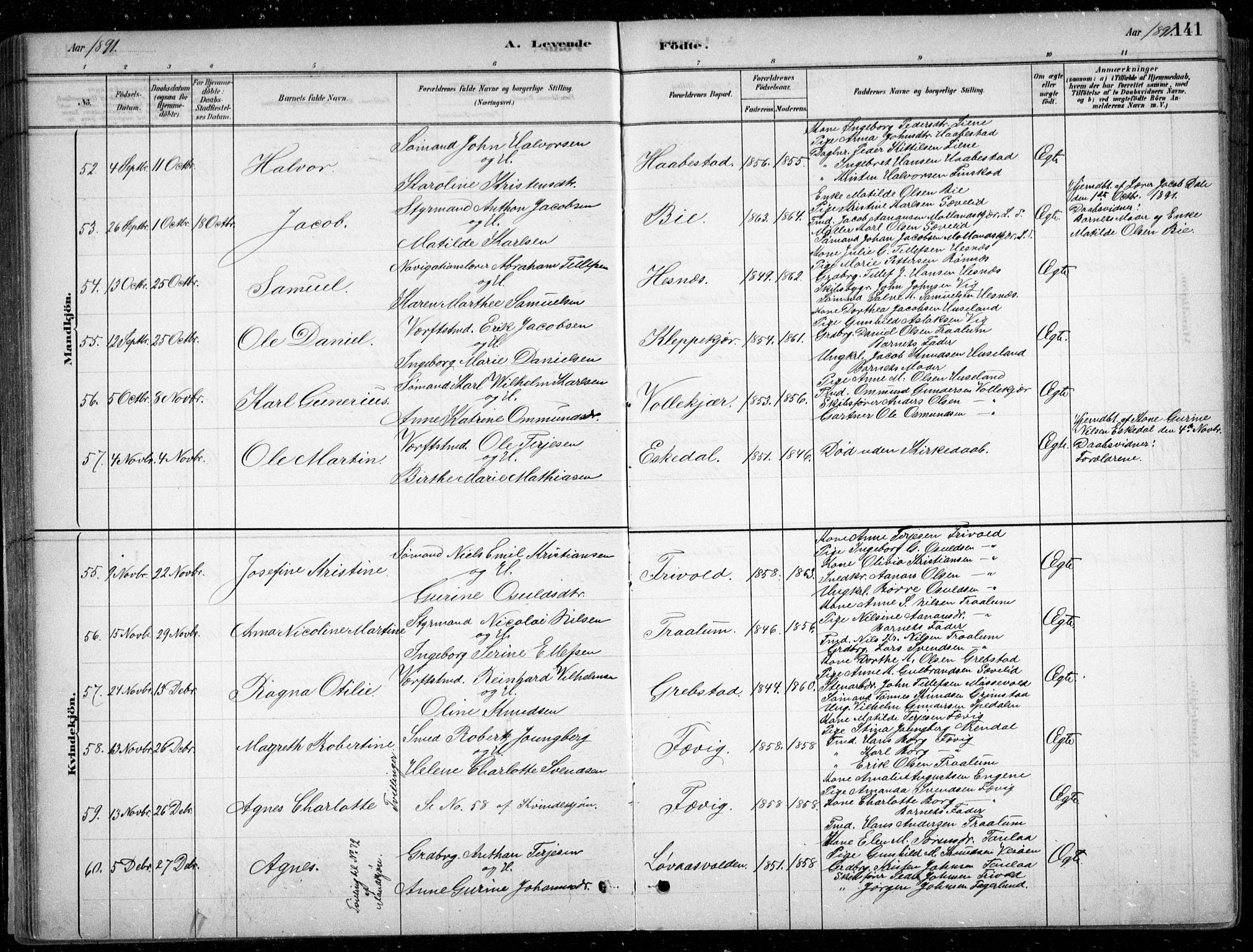 Fjære sokneprestkontor, SAK/1111-0011/F/Fb/L0011: Parish register (copy) no. B 11, 1881-1905, p. 141