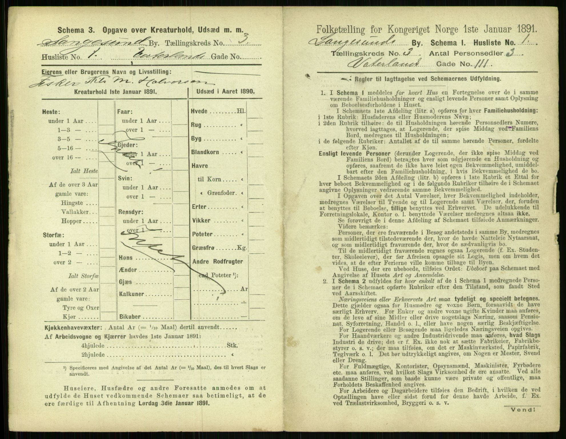 RA, 1891 census for 0802 Langesund, 1891, p. 190