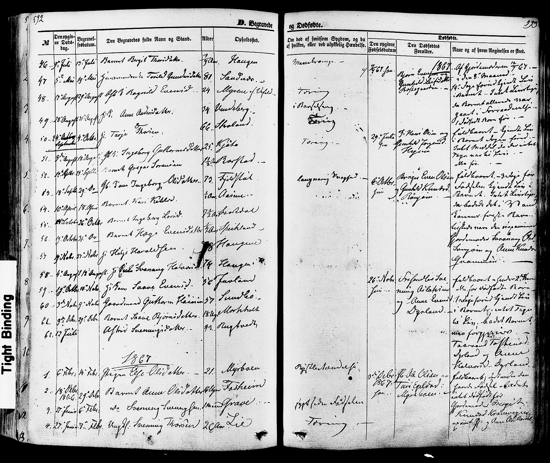 Seljord kirkebøker, SAKO/A-20/F/Fa/L0013: Parish register (official) no. I 13, 1866-1876, p. 592-593