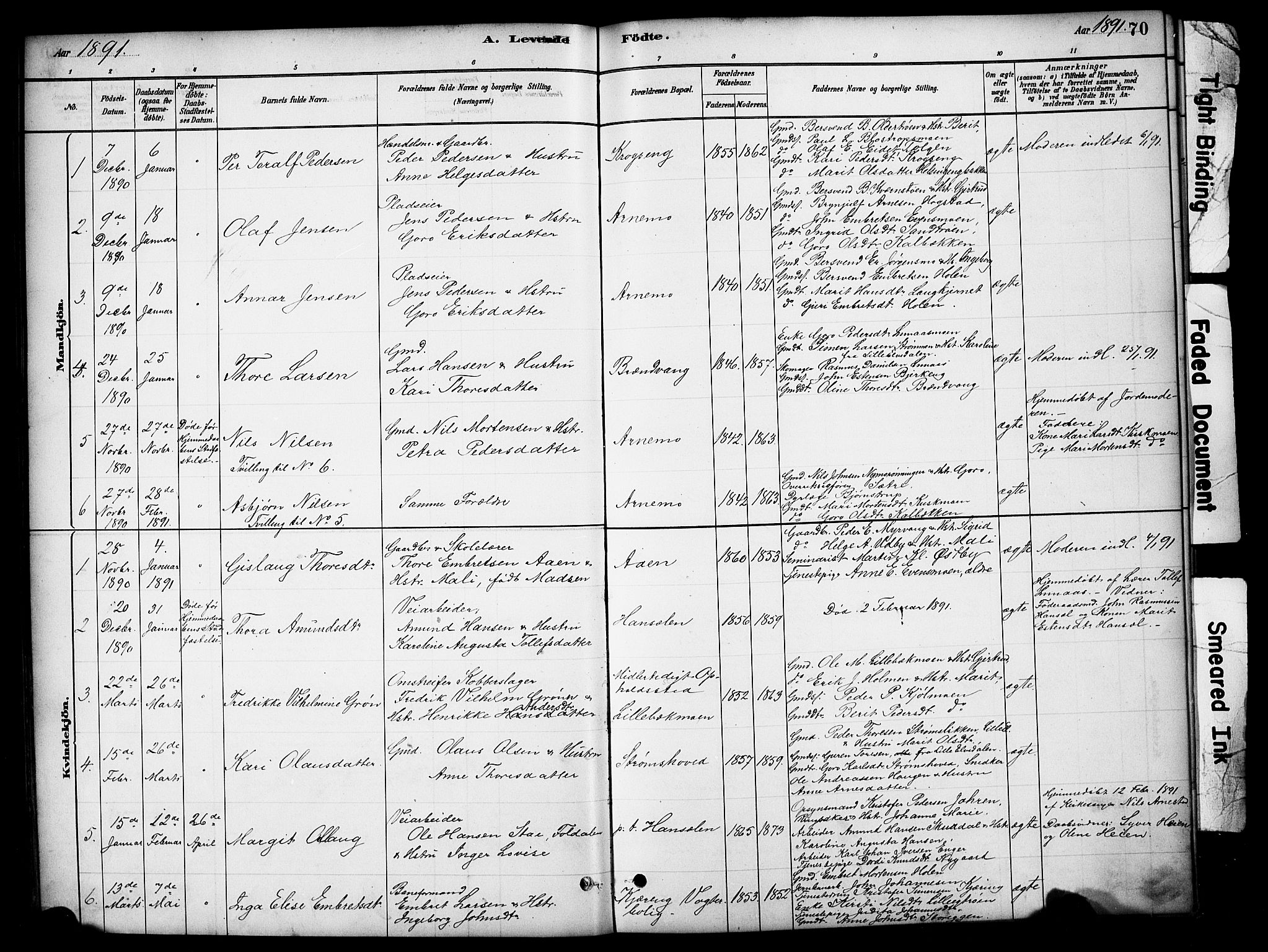 Tynset prestekontor, SAH/PREST-058/H/Ha/Hab/L0006: Parish register (copy) no. 6, 1880-1899, p. 70