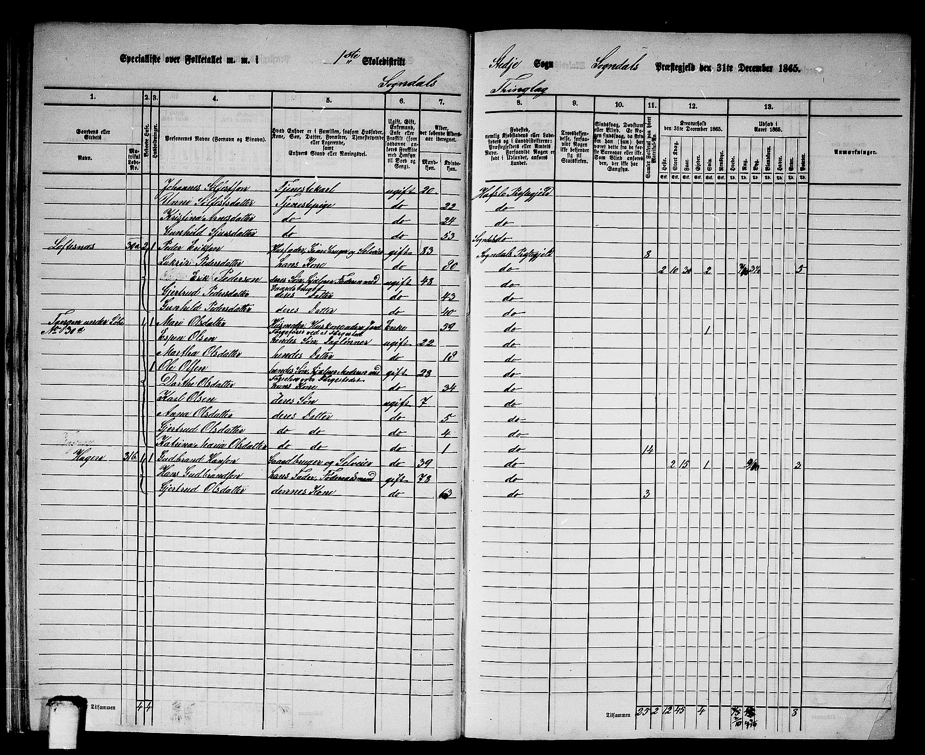 RA, 1865 census for Sogndal, 1865, p. 28