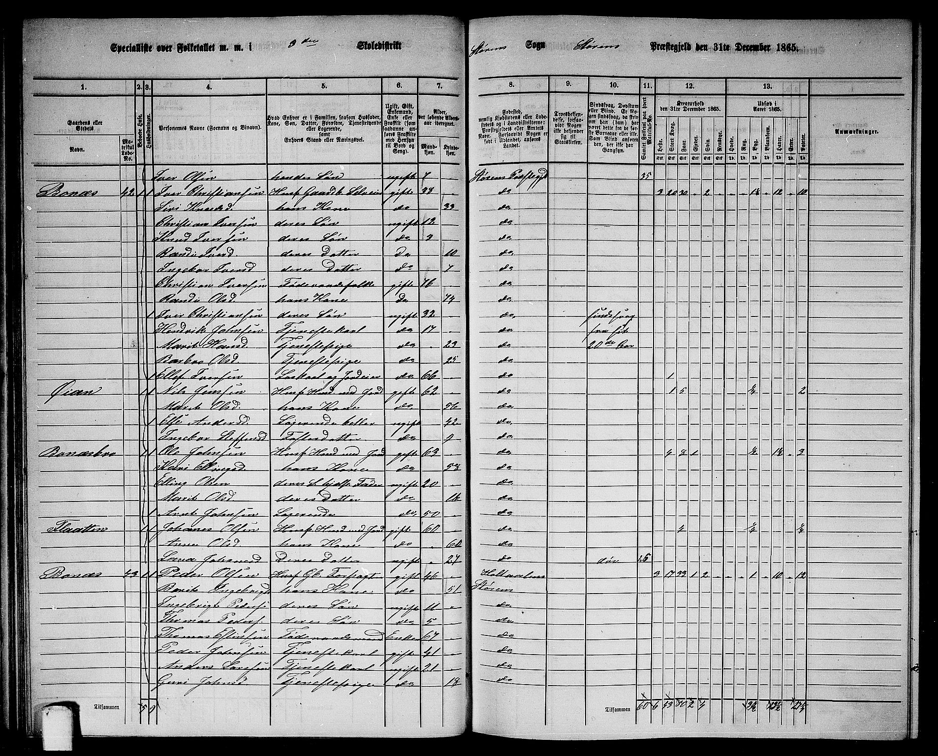 RA, 1865 census for Støren, 1865, p. 53