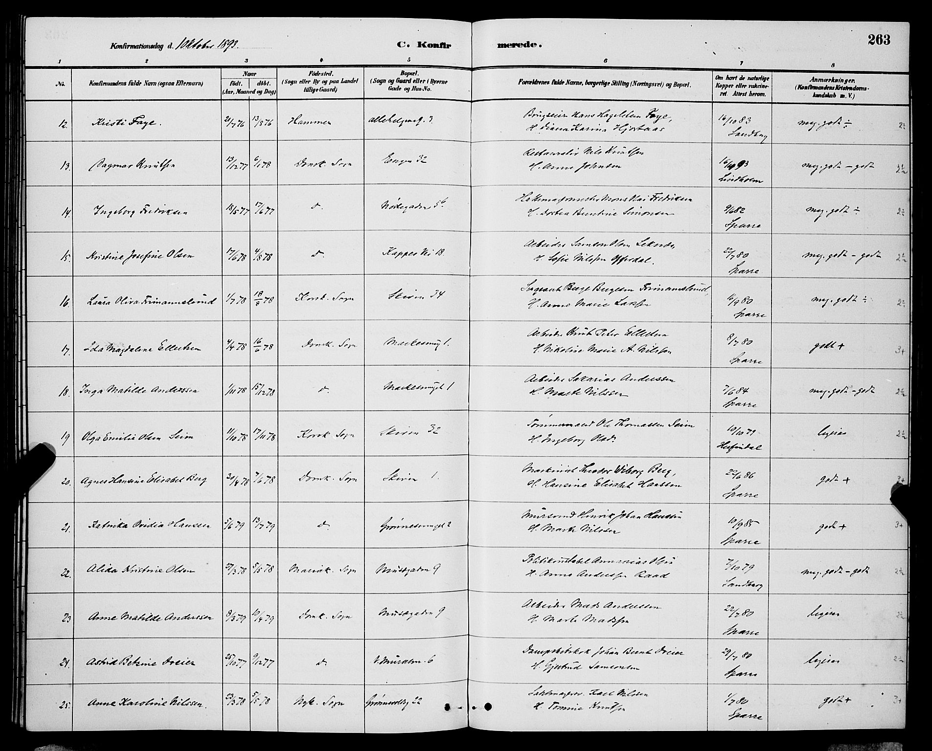 Domkirken sokneprestembete, AV/SAB-A-74801/H/Hab/L0024: Parish register (copy) no. C 4, 1880-1899, p. 263