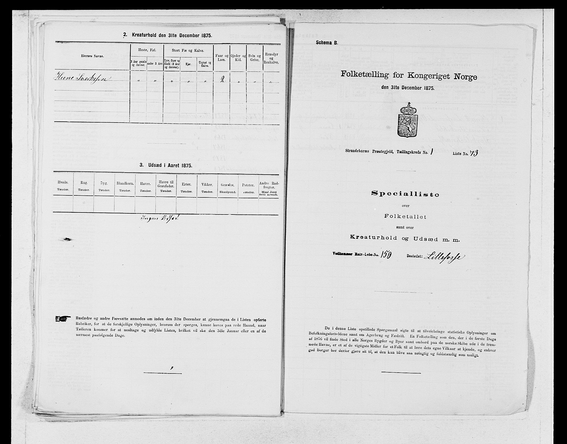 SAB, 1875 census for 1226P Strandebarm, 1875, p. 173