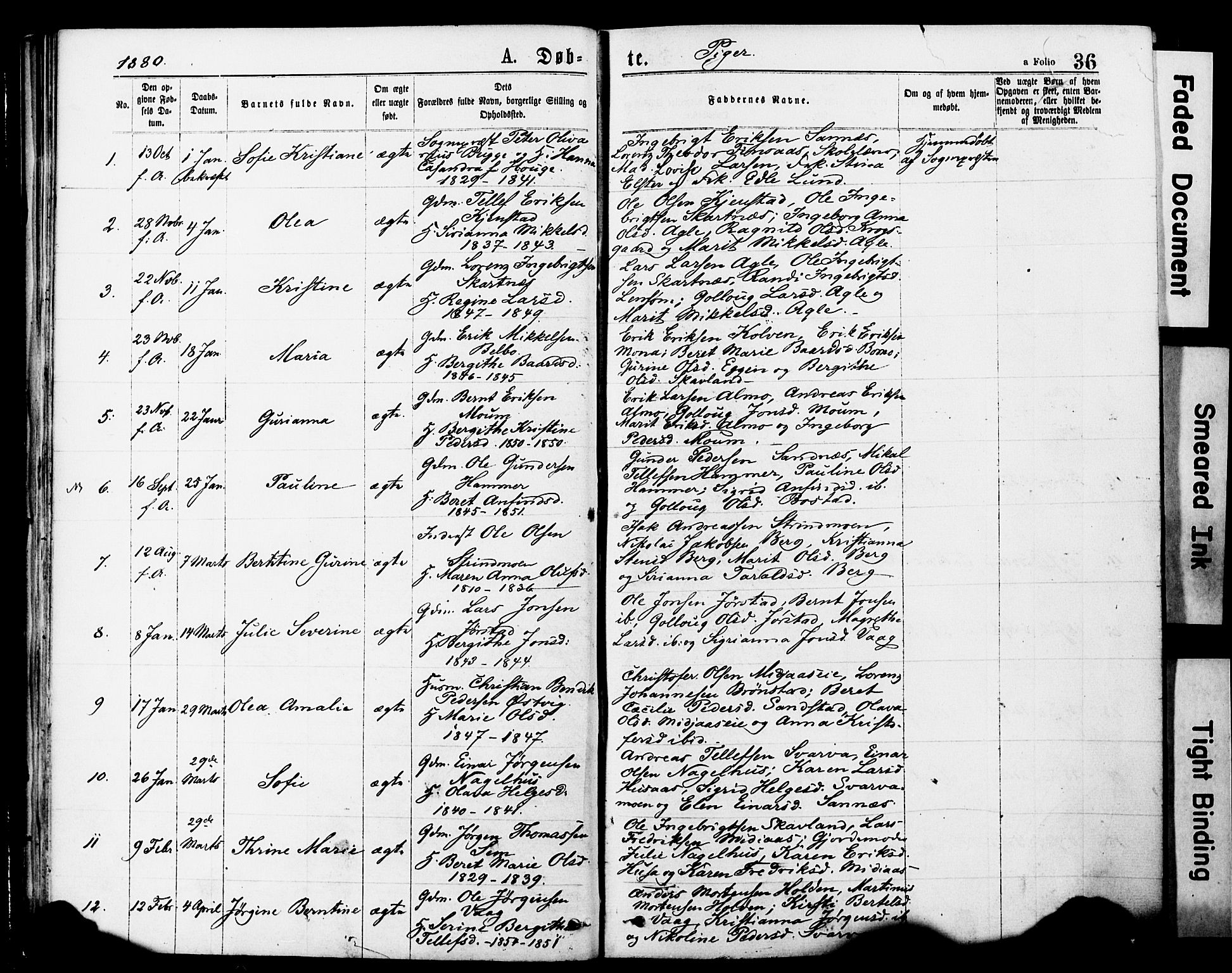 Ministerialprotokoller, klokkerbøker og fødselsregistre - Nord-Trøndelag, SAT/A-1458/749/L0473: Parish register (official) no. 749A07, 1873-1887, p. 36