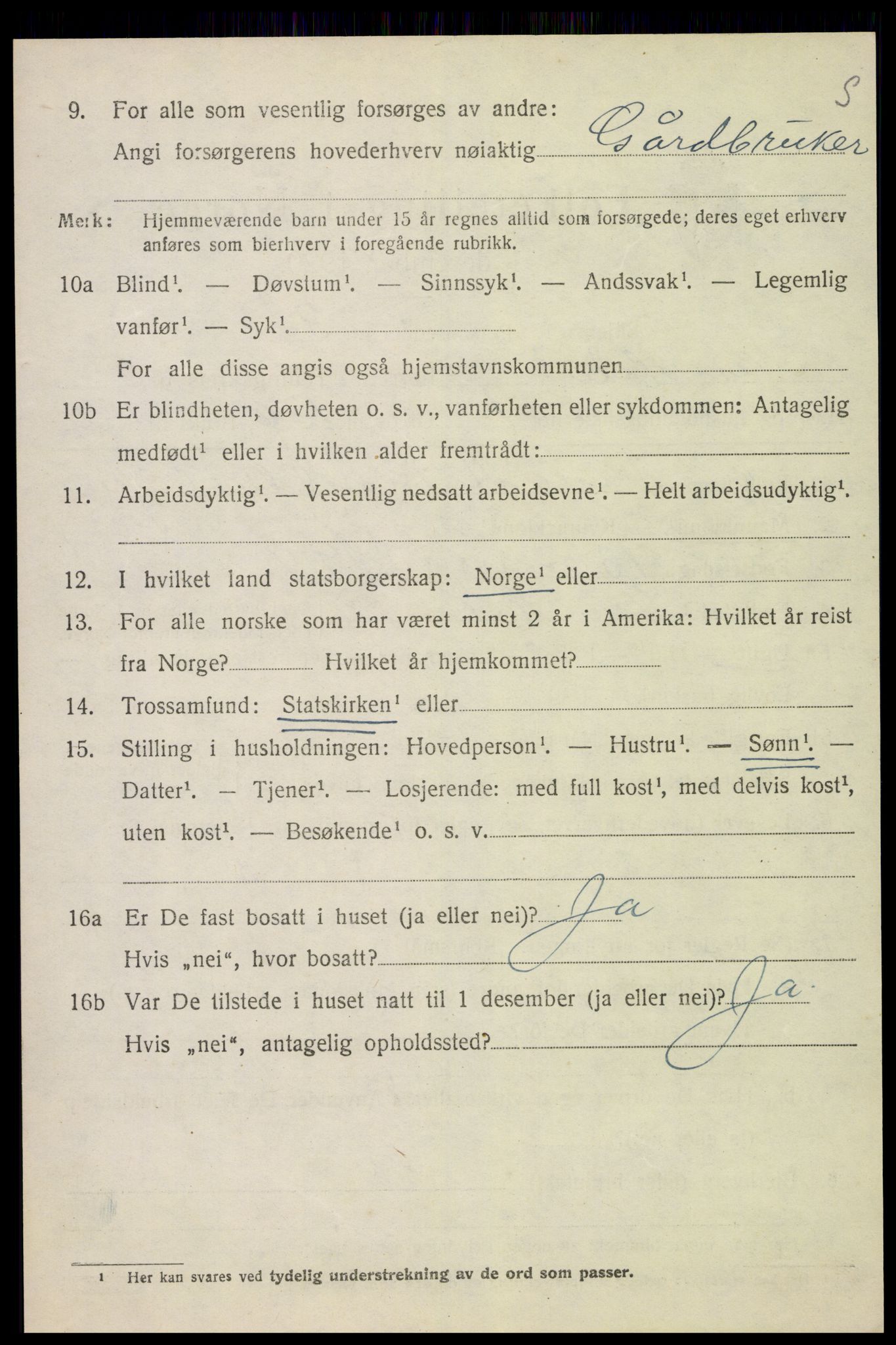 SAH, 1920 census for Nes (Hedmark), 1920, p. 6643