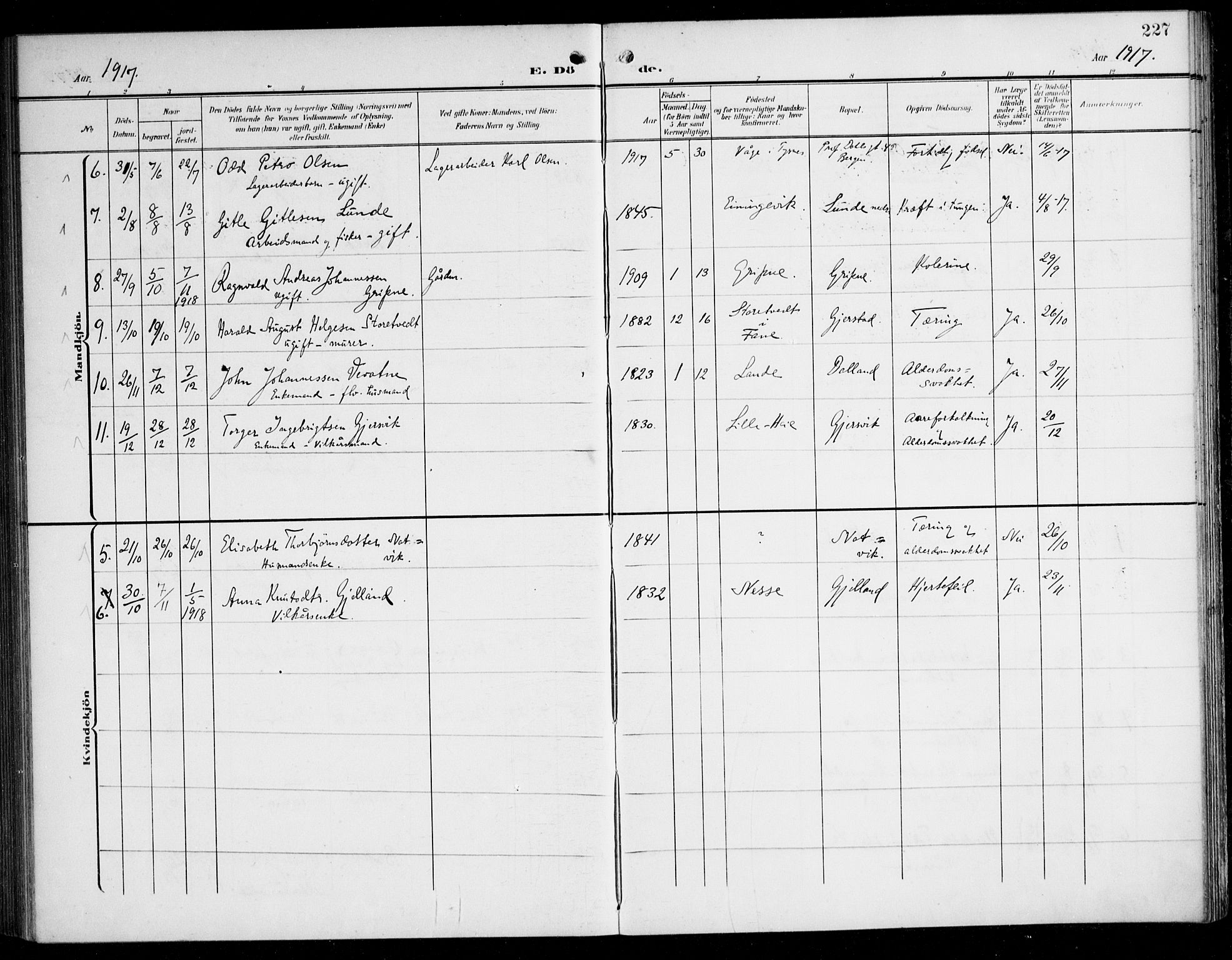 Tysnes sokneprestembete, AV/SAB-A-78601/H/Haa: Parish register (official) no. B 2, 1907-1925, p. 227