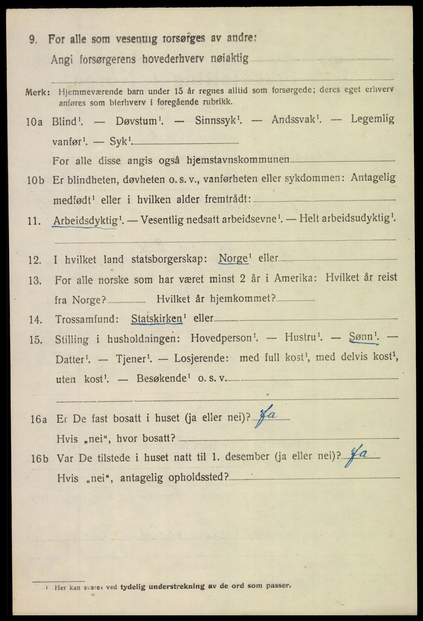 SAH, 1920 census for Etnedal, 1920, p. 1307