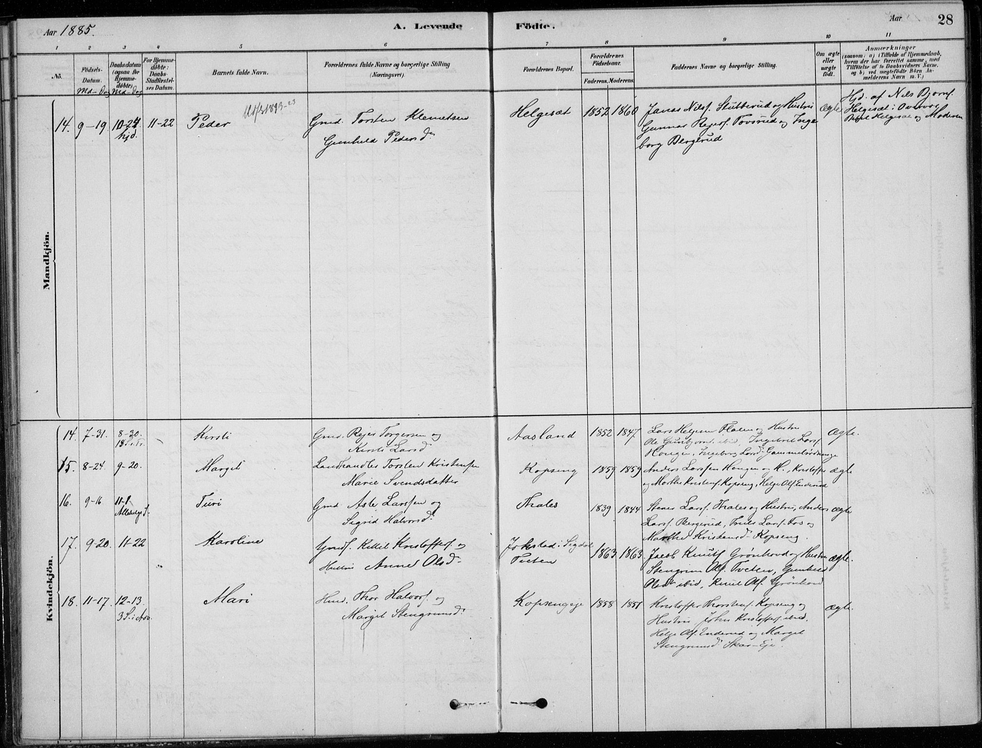 Sigdal kirkebøker, SAKO/A-245/F/Fc/L0001: Parish register (official) no. III 1, 1879-1893, p. 28