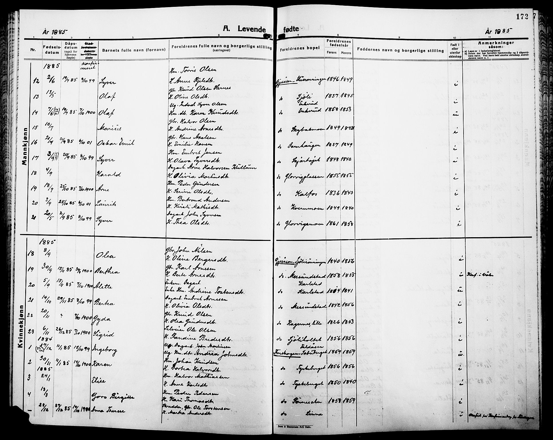 Åsnes prestekontor, SAH/PREST-042/H/Ha/Haa/L0000B: Parish register (official), 1870-1889, p. 172