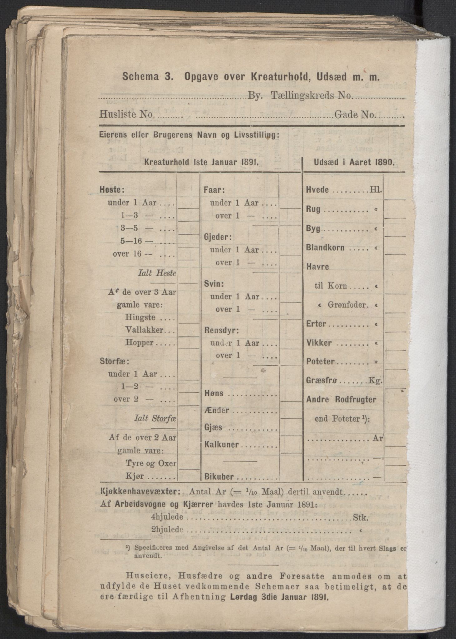 RA, 1891 Census for 1301 Bergen, 1891, p. 5605