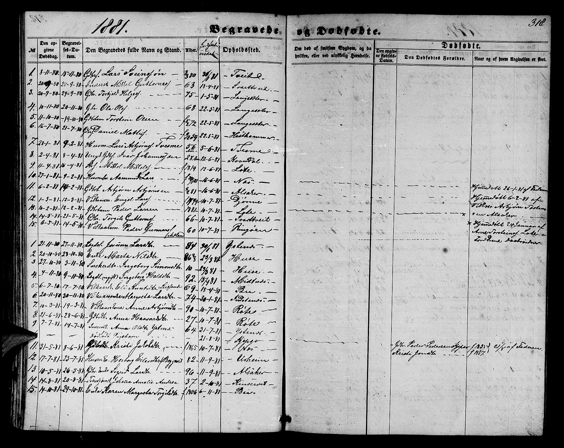 Ullensvang sokneprestembete, SAB/A-78701/H/Hab: Parish register (copy) no. E 6, 1857-1886, p. 318