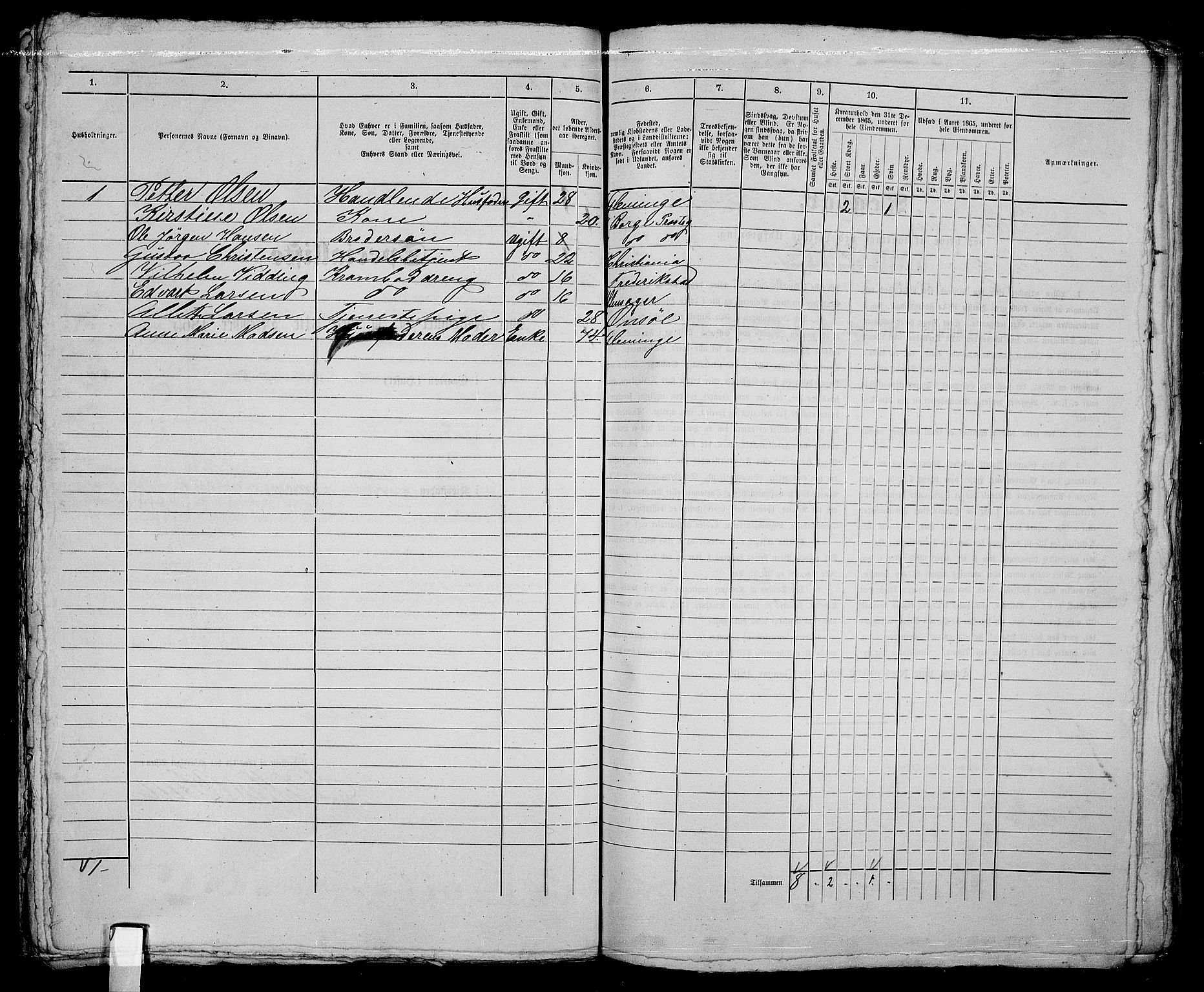 RA, 1865 census for Fredrikstad/Fredrikstad, 1865, p. 352