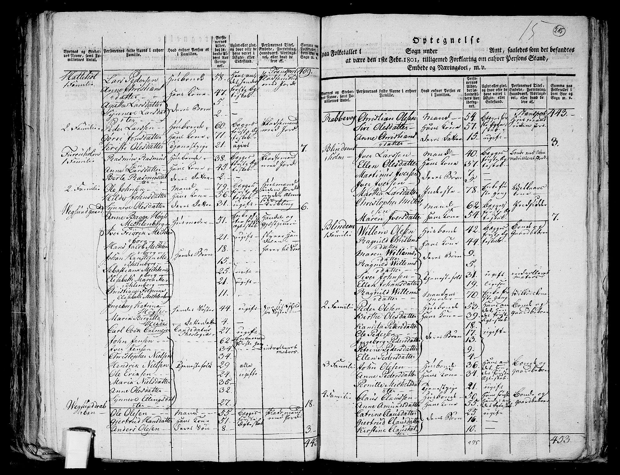 RA, 1801 census for 1531P Borgund, 1801, p. 214b-215a