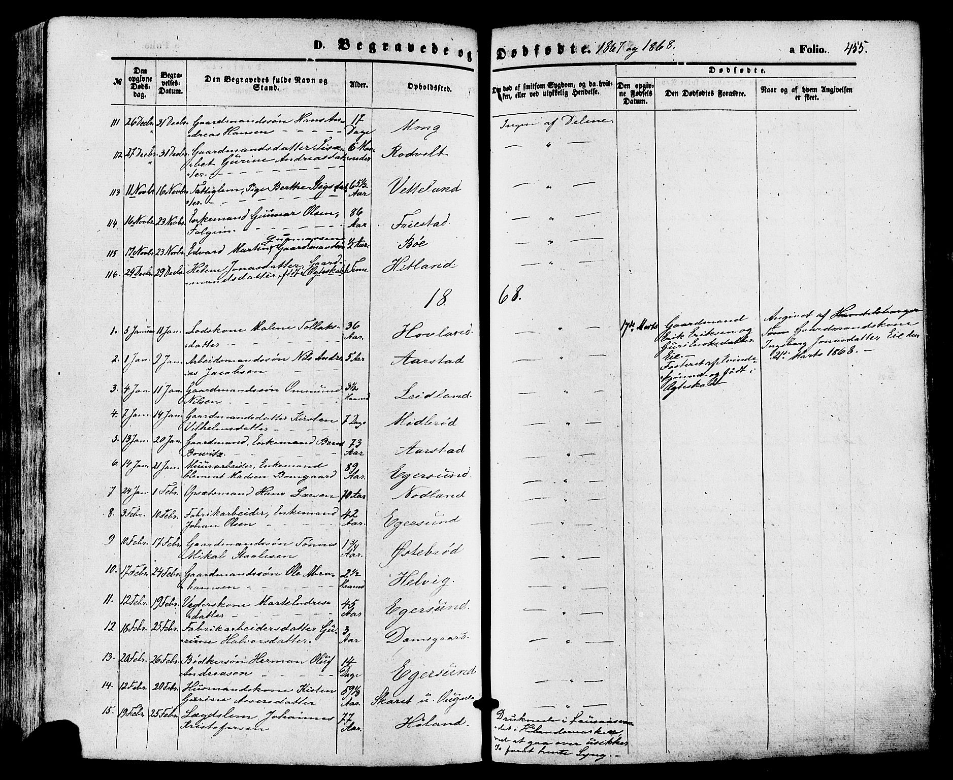 Eigersund sokneprestkontor, SAST/A-101807/S08/L0014: Parish register (official) no. A 13, 1866-1878, p. 455