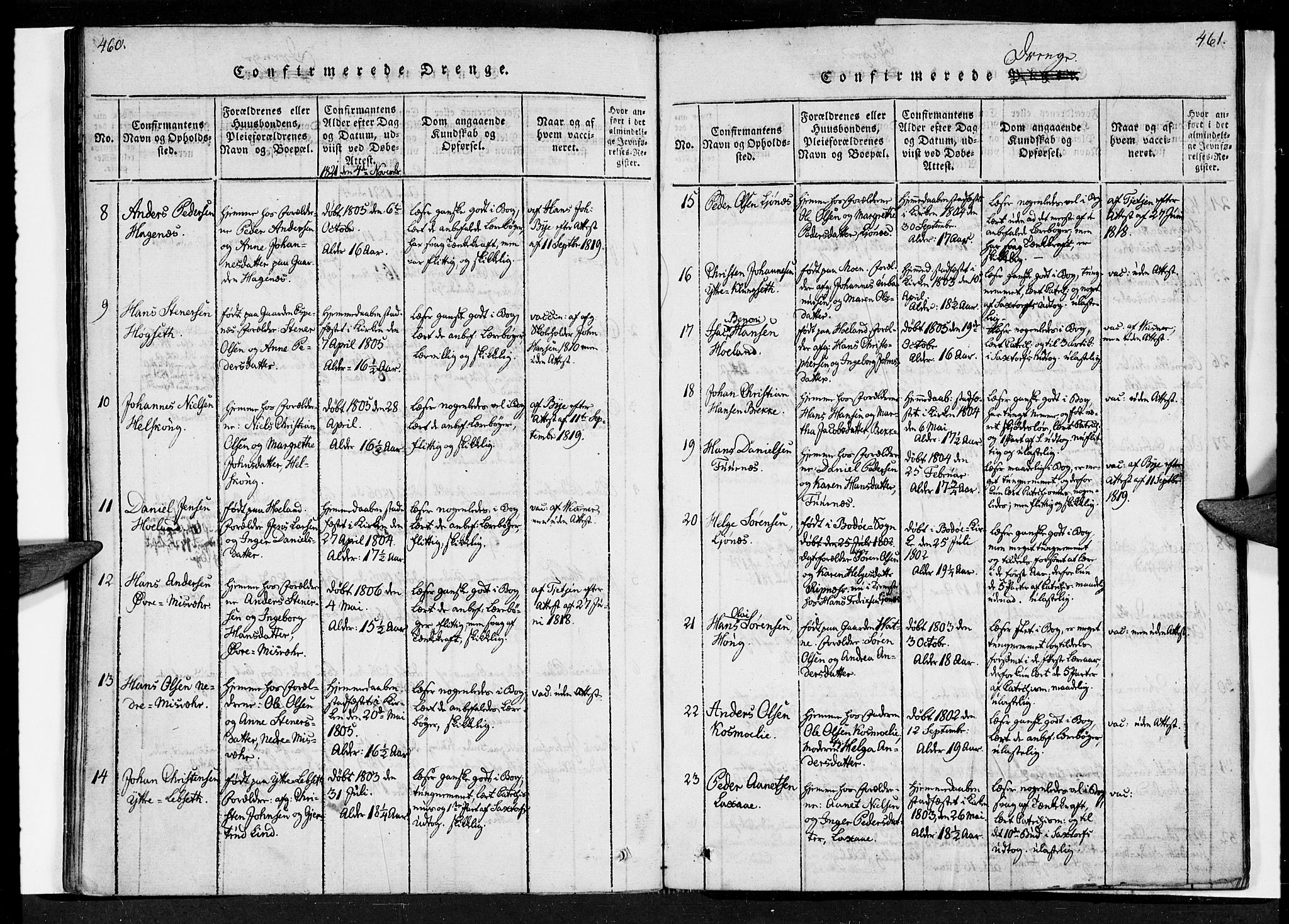 Ministerialprotokoller, klokkerbøker og fødselsregistre - Nordland, SAT/A-1459/852/L0736: Parish register (official) no. 852A06, 1820-1833, p. 460-461