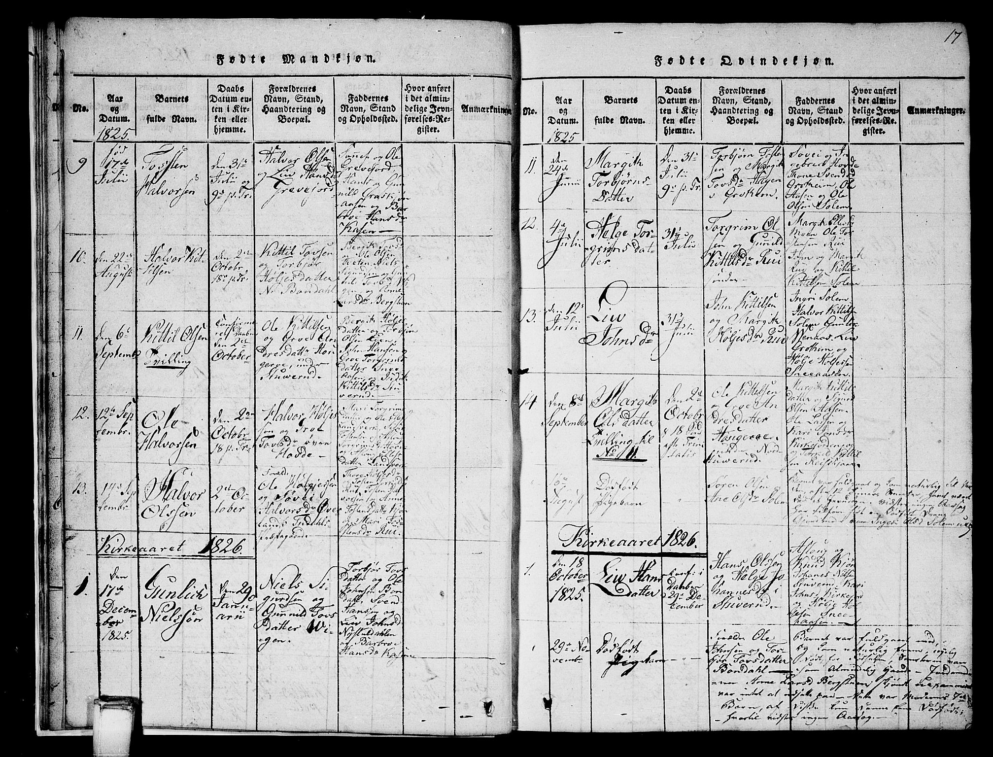 Hjartdal kirkebøker, AV/SAKO-A-270/G/Gc/L0001: Parish register (copy) no. III 1, 1815-1842, p. 17