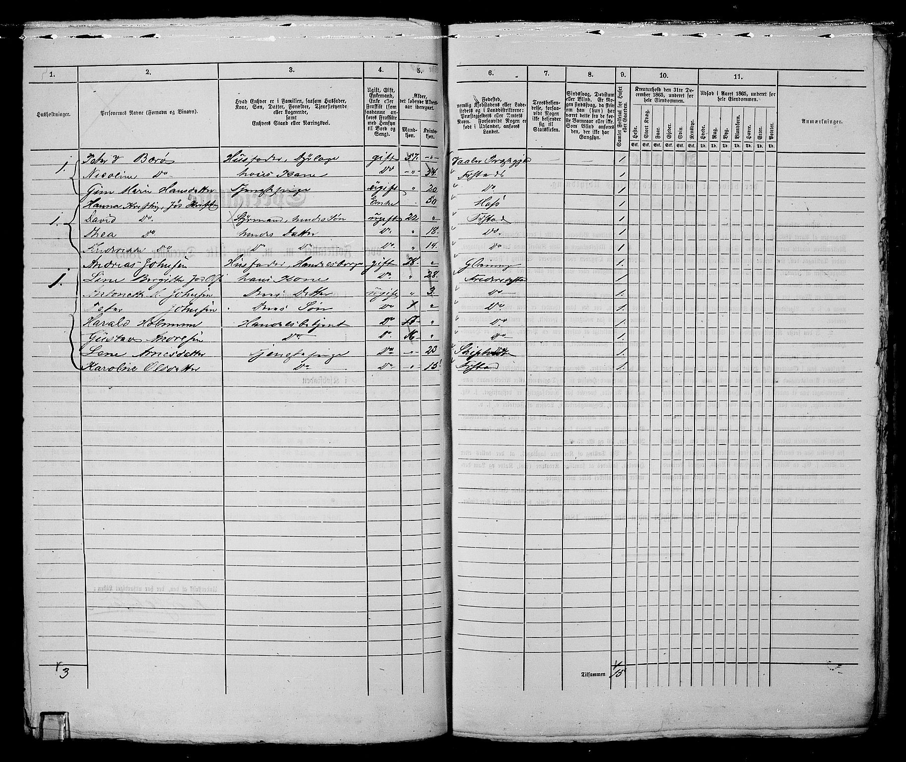 RA, 1865 census for Fredrikstad/Fredrikstad, 1865, p. 148