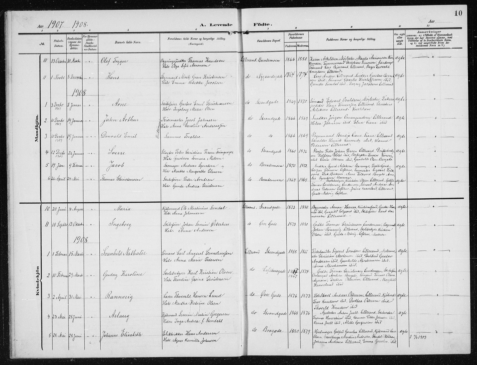 Vestre Moland sokneprestkontor, AV/SAK-1111-0046/F/Fb/Fba/L0002: Parish register (copy) no. B 2, 1904-1934, p. 10