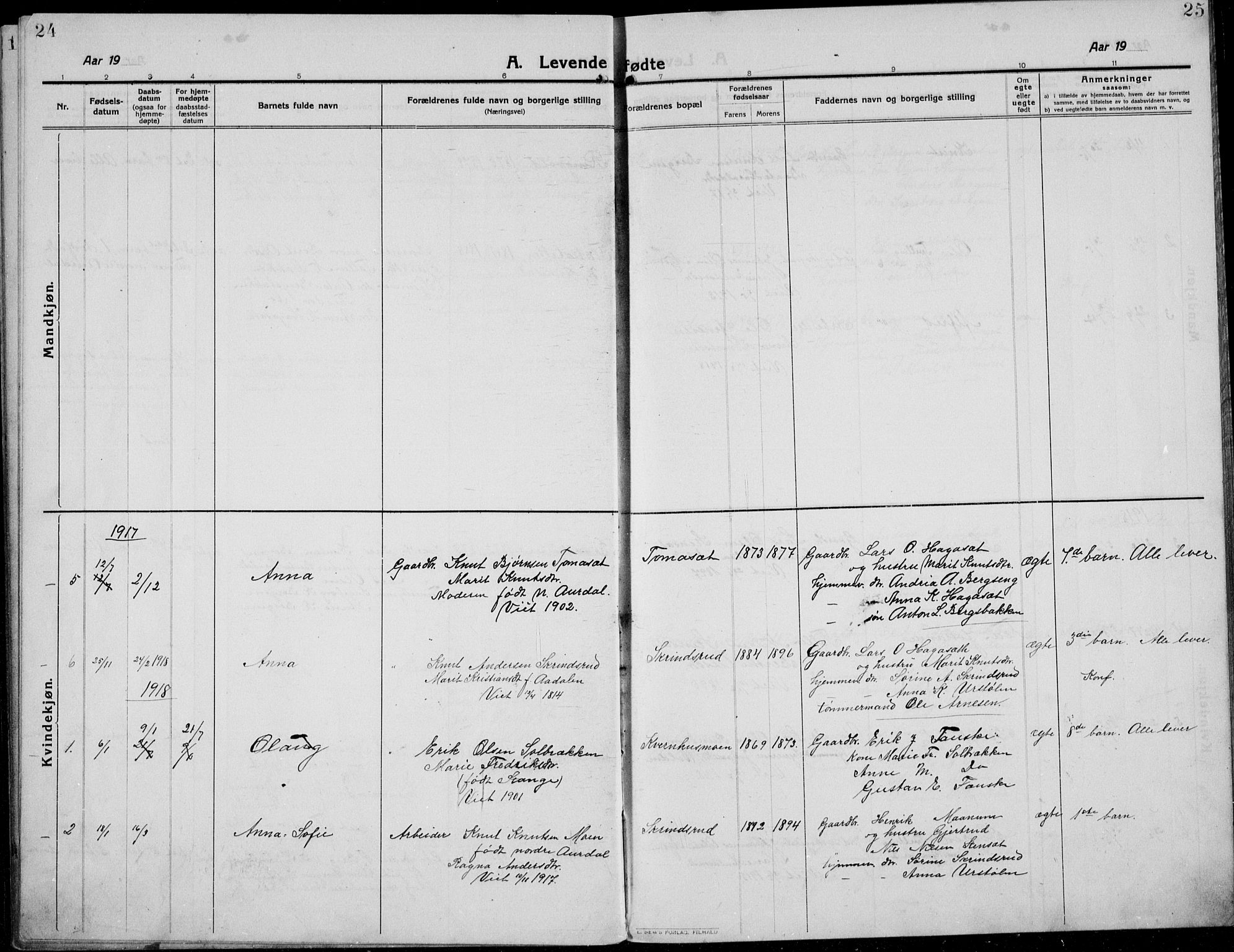 Etnedal prestekontor, SAH/PREST-130/H/Ha/Hab/Habb/L0002: Parish register (copy) no. II 2, 1912-1934, p. 24-25