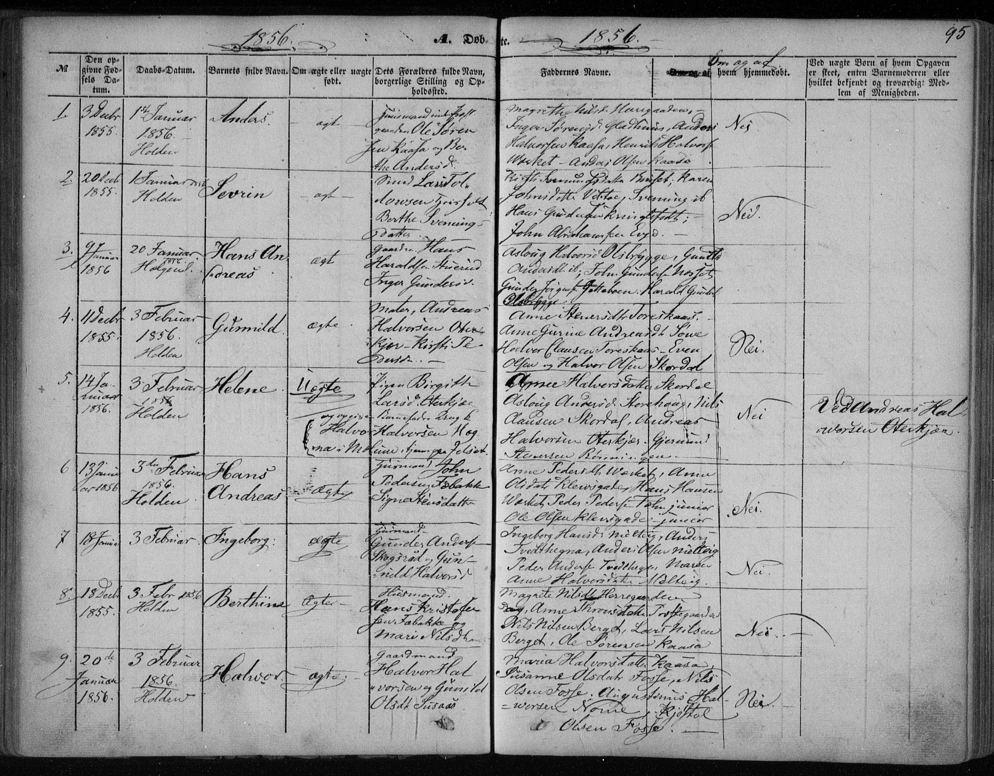 Holla kirkebøker, AV/SAKO-A-272/F/Fa/L0005: Parish register (official) no. 5, 1849-1860, p. 95