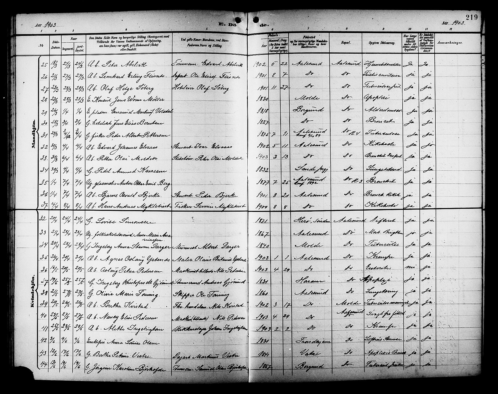 Ministerialprotokoller, klokkerbøker og fødselsregistre - Møre og Romsdal, AV/SAT-A-1454/529/L0469: Parish register (copy) no. 529C06, 1898-1906, p. 219