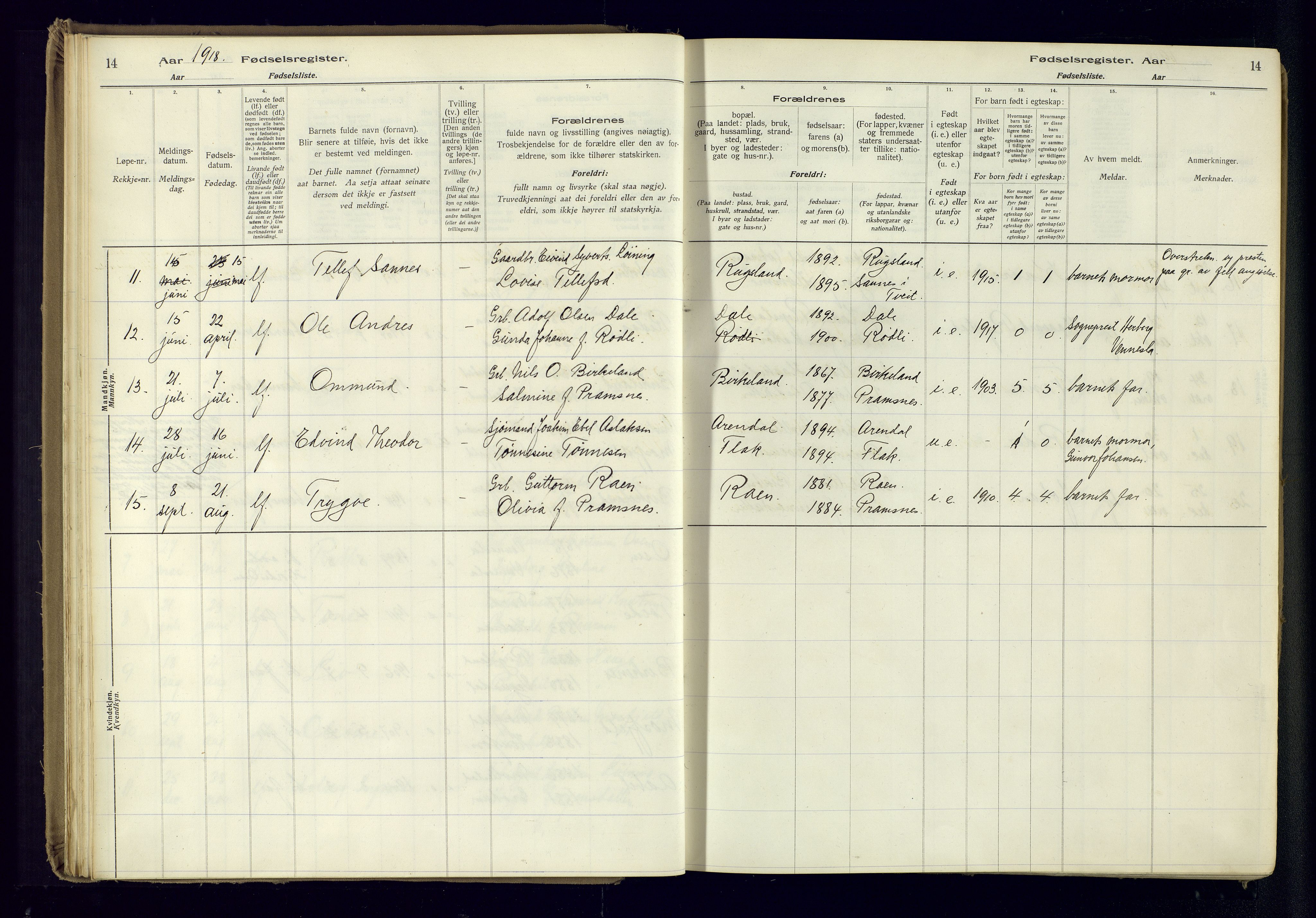 Birkenes sokneprestkontor, SAK/1111-0004/J/Ja/L0001: Birth register no. II.6.4, 1916-1962, p. 14