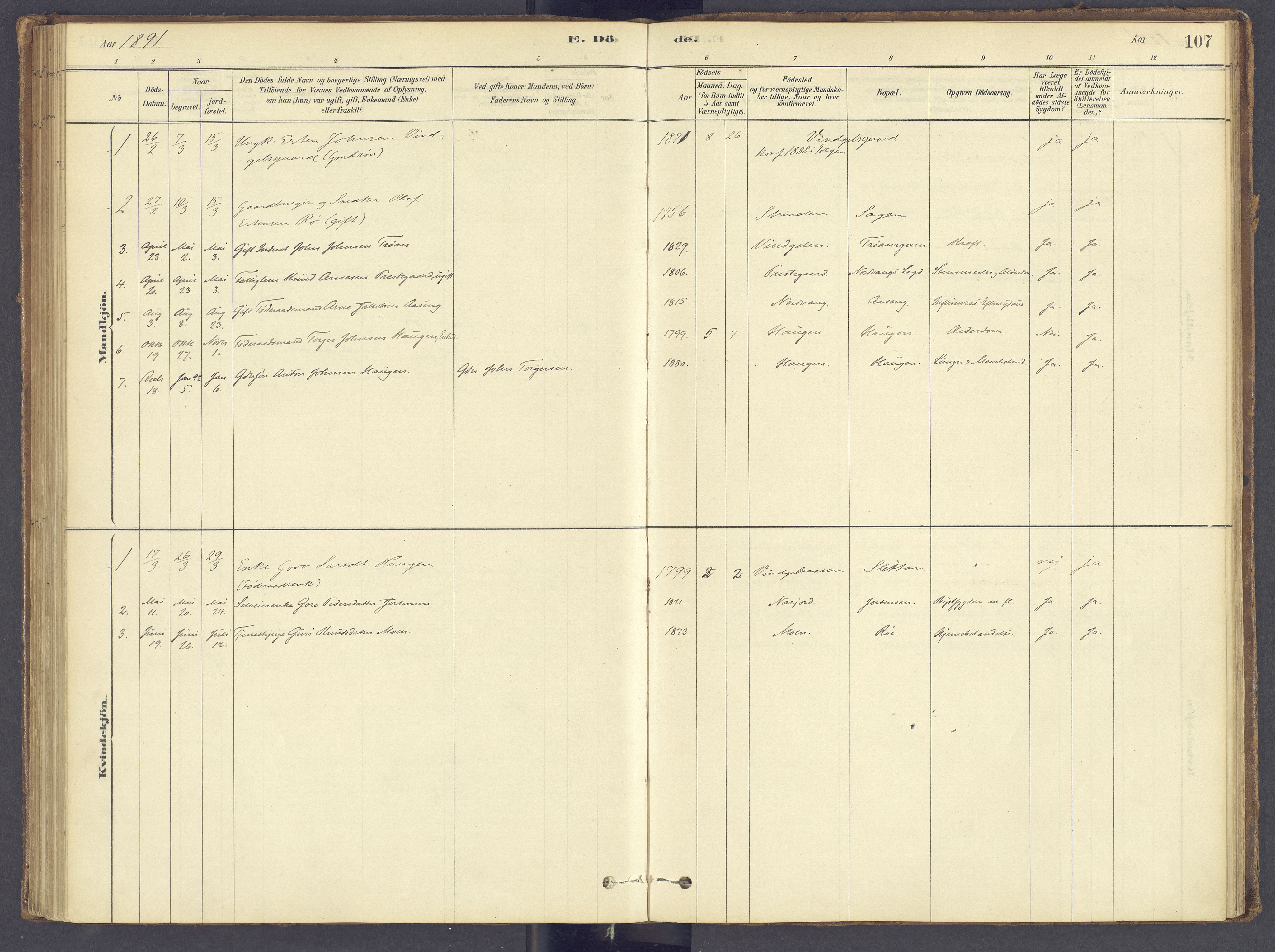 Tolga prestekontor, SAH/PREST-062/K/L0012: Parish register (official) no. 12, 1877-1925, p. 107